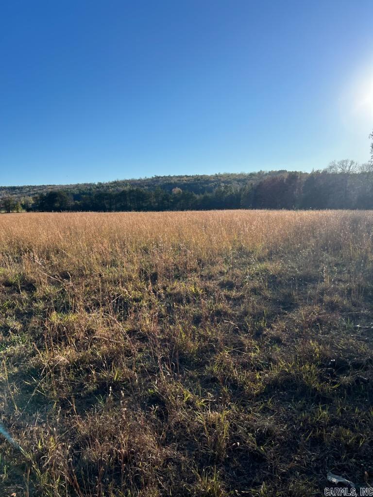 Great piece of land to build on or run some cattle on.  Enjoy the beautiful surroundings and country living of this fenced land ready for whatever you wish.  No restrictions.  Just a 10-minute drive to the river or Greers Ferry Lake. Let's go look!
