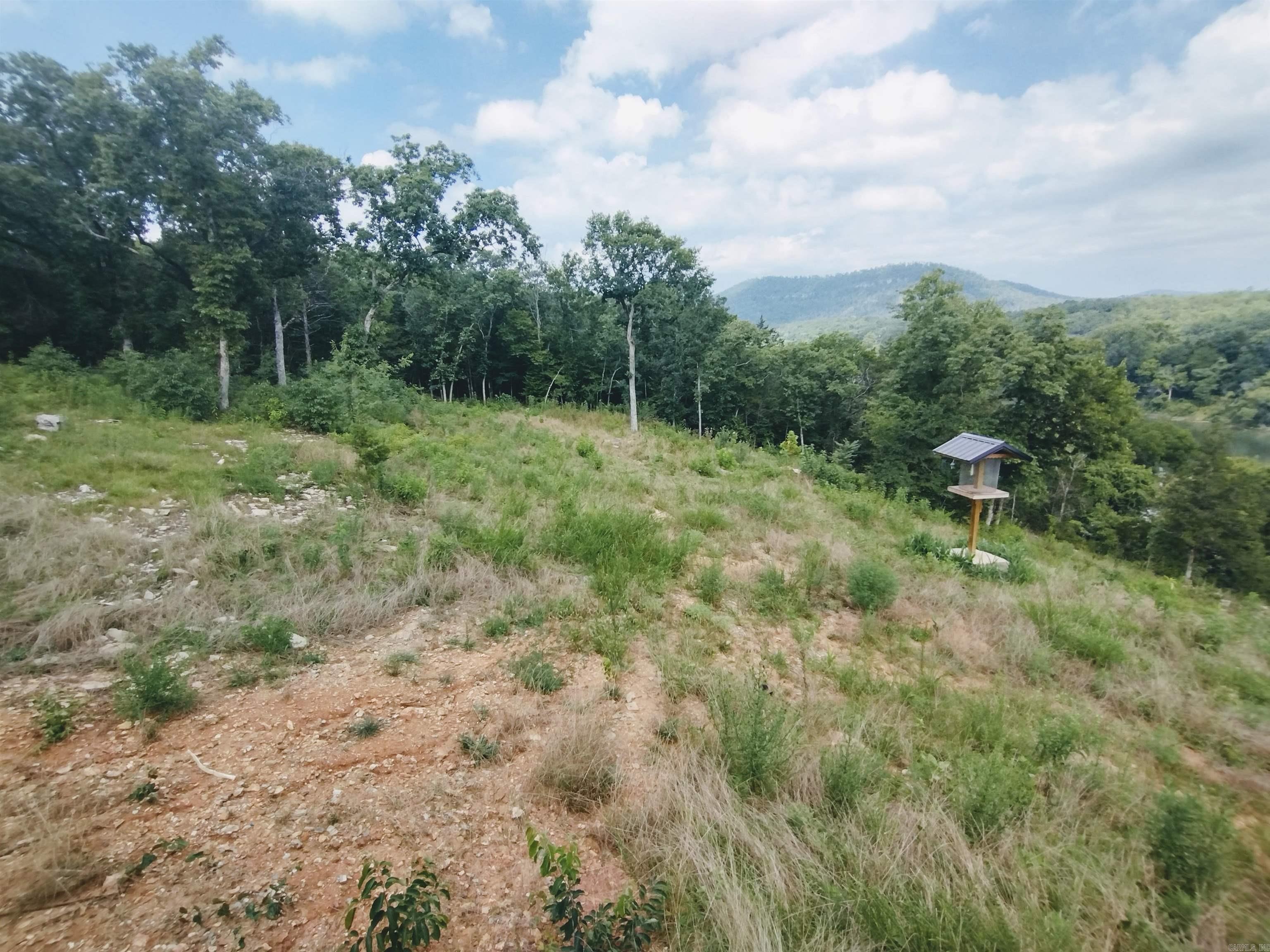 Ripplin Shoals Ridgetop - Residential