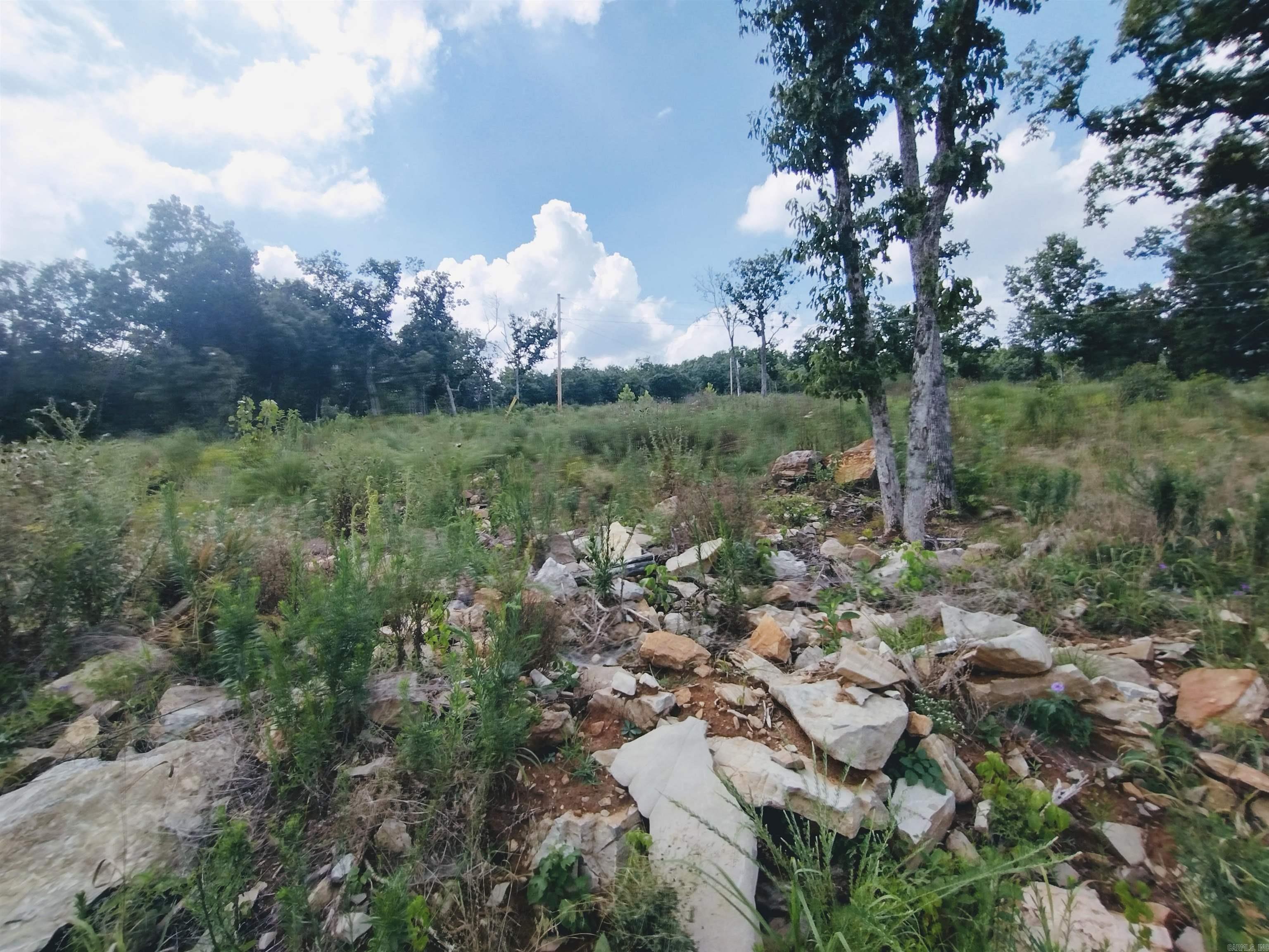 Ripplin Shoals Ridgetop - Residential
