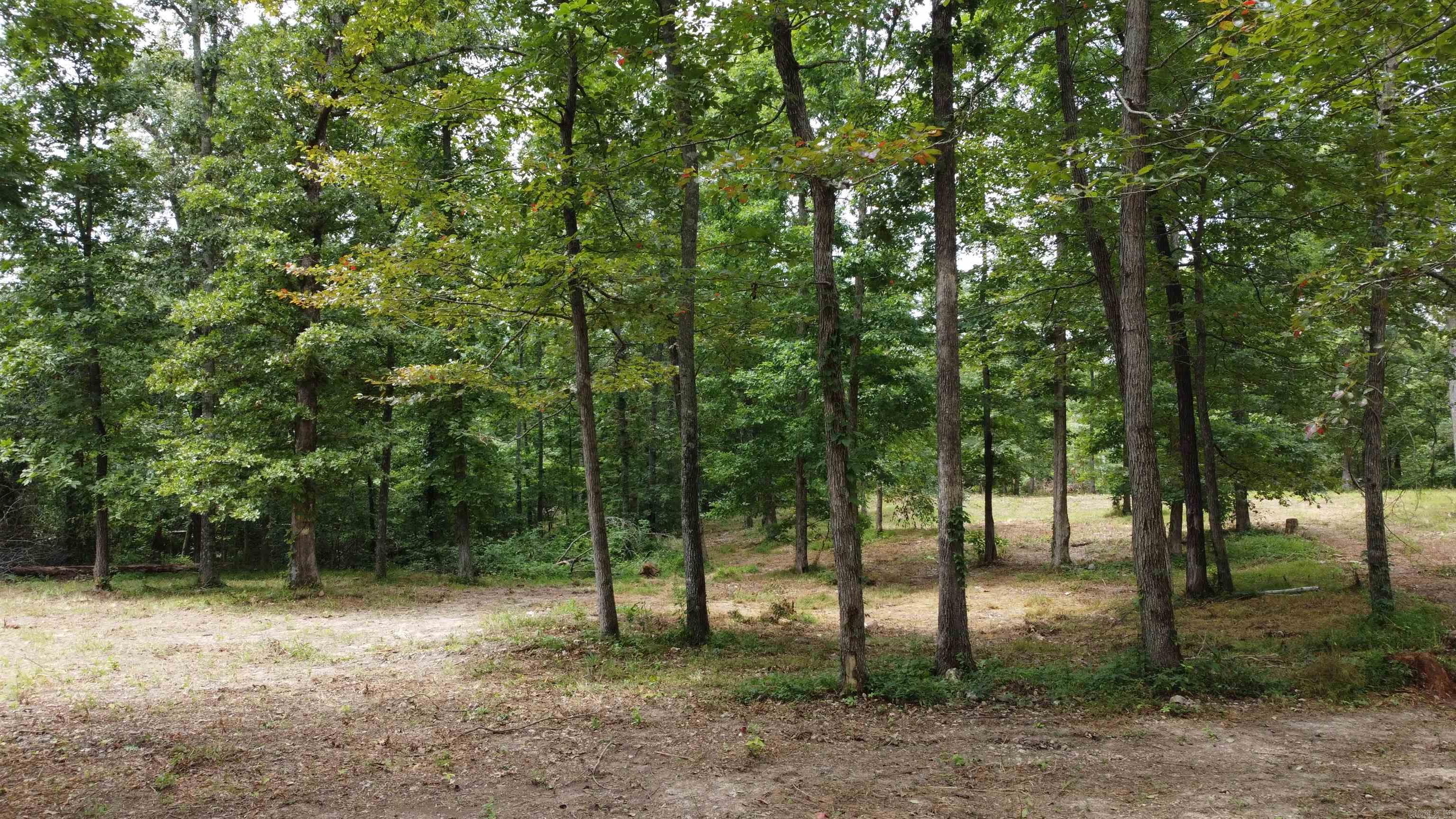 Fifty Six Acres - Land