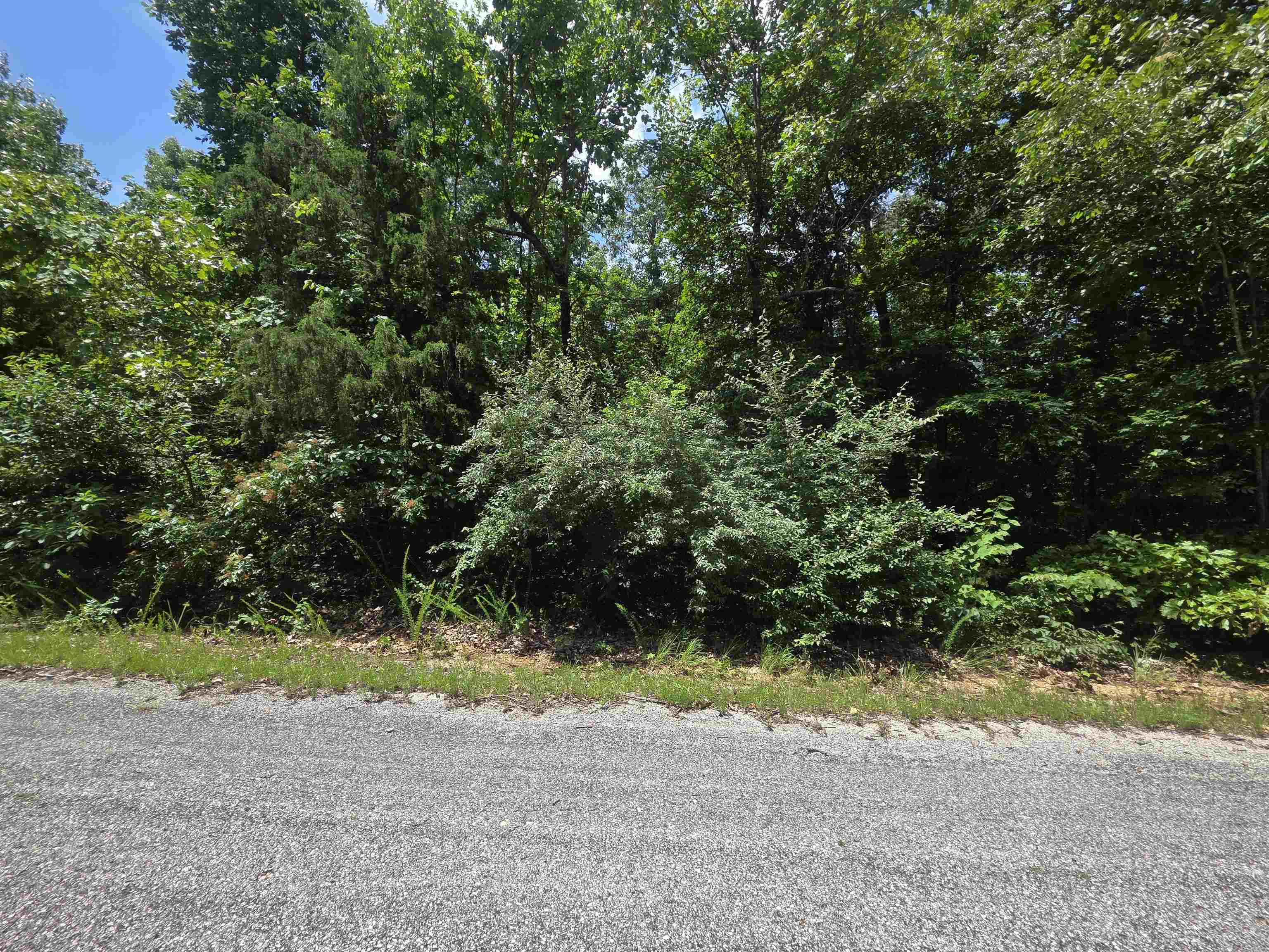 Here is one beautiful lot….. Secluded. like it's in the middle of the woods on the Southeast side of Horseshoe Bend. This lot is undeveloped, in a wooded area of Horseshoe Bend. No close neighbors. Enjoy nature at its finest. It is a great location for nature lovers with Deer, Turkey, fox and other small animals possibly even an elusive bear. If you are looking for a lot that is away from it all. Then you may want to get a look at this beauty. This Lot has a gentle slope from left to right. Come take a look and choose a spot to build your retirement home, getaway cabin or forever home. It’s in the city limits but it is as private and secluded as anyone could ask for. Horseshoe Bend has 4 lakes and 2 golf courses along with many other amenities to enjoy.