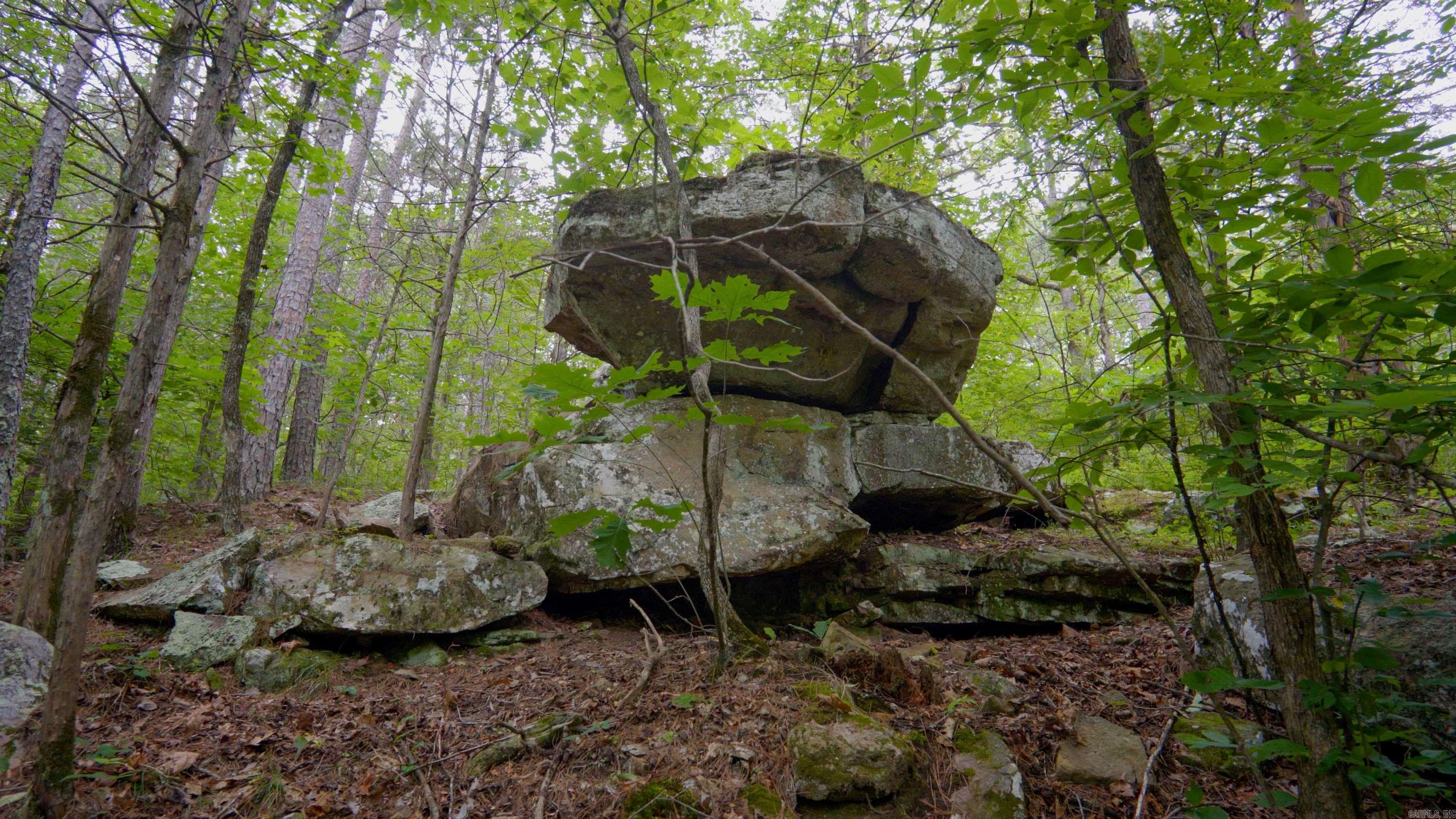 Budd Creek - Land