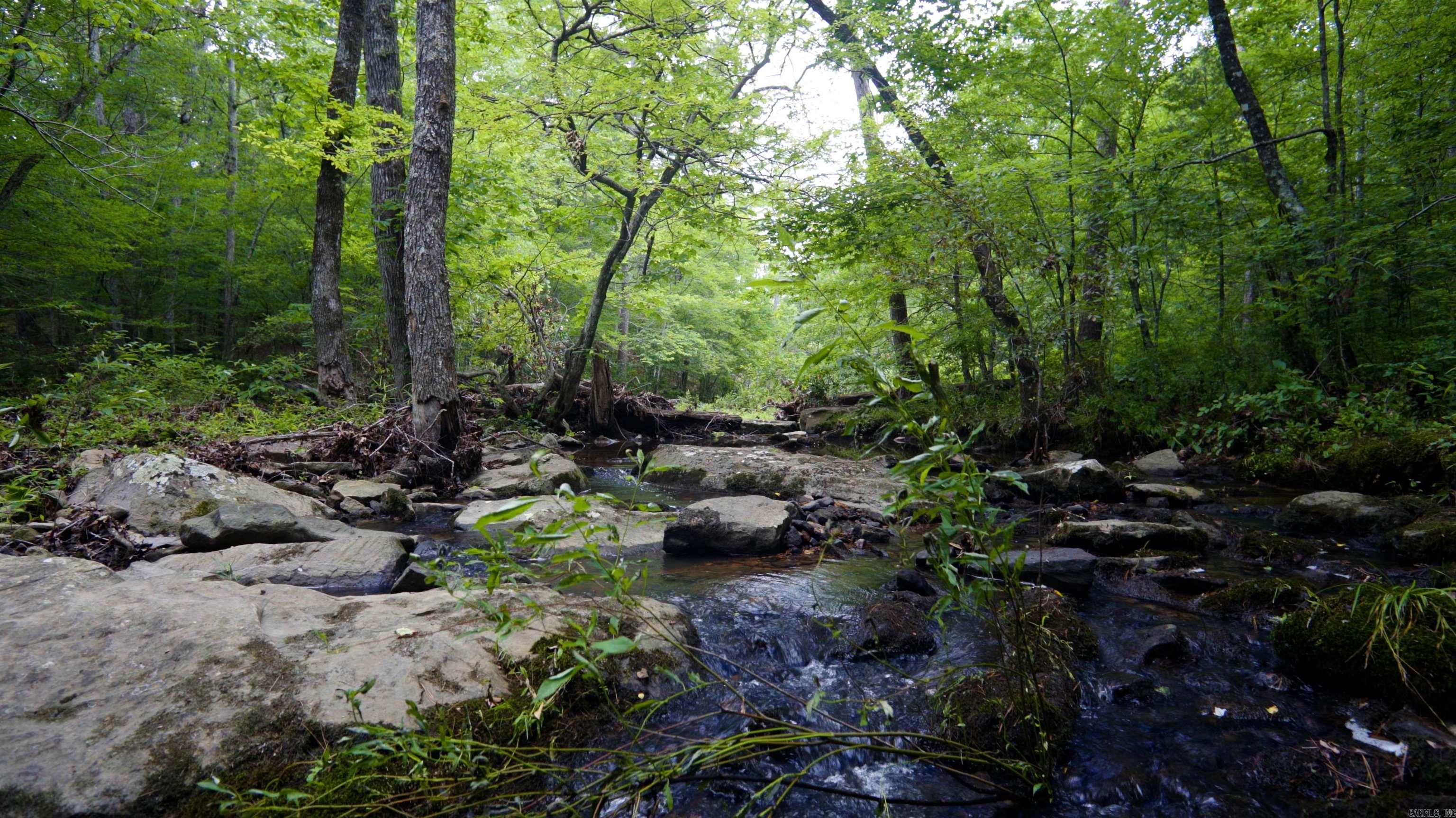 Budd Creek - Land