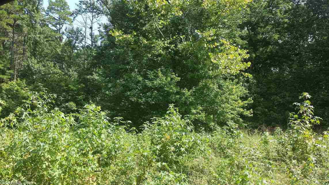 Bullock-Lakeshore - Land
