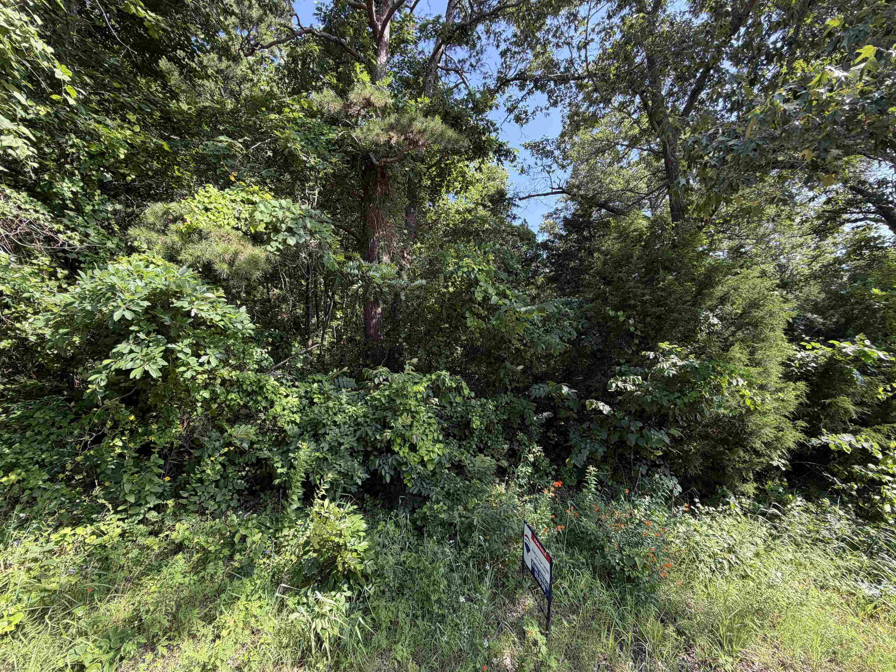 Do you want to own your own little piece of Arkansas? Here it is. Beautifully wooded half acre lot located of Hwy 56 in Brockwell. Perfect to build your dream home or a vacation home on. Some utilities are available at the street. Call or text me today to see this perfect location.