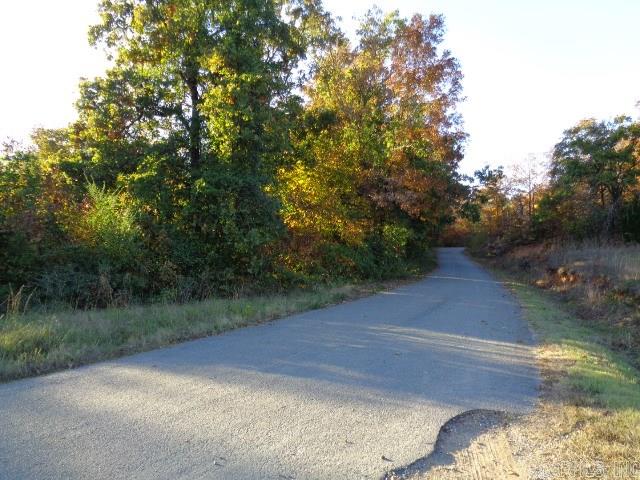 Several building sites are available on the land. There is a small pond on the property. Some of the property is on both sides of Arnies Valley Road. The property is all timber with hills and valleys. No restriction. Mobile are allowed.