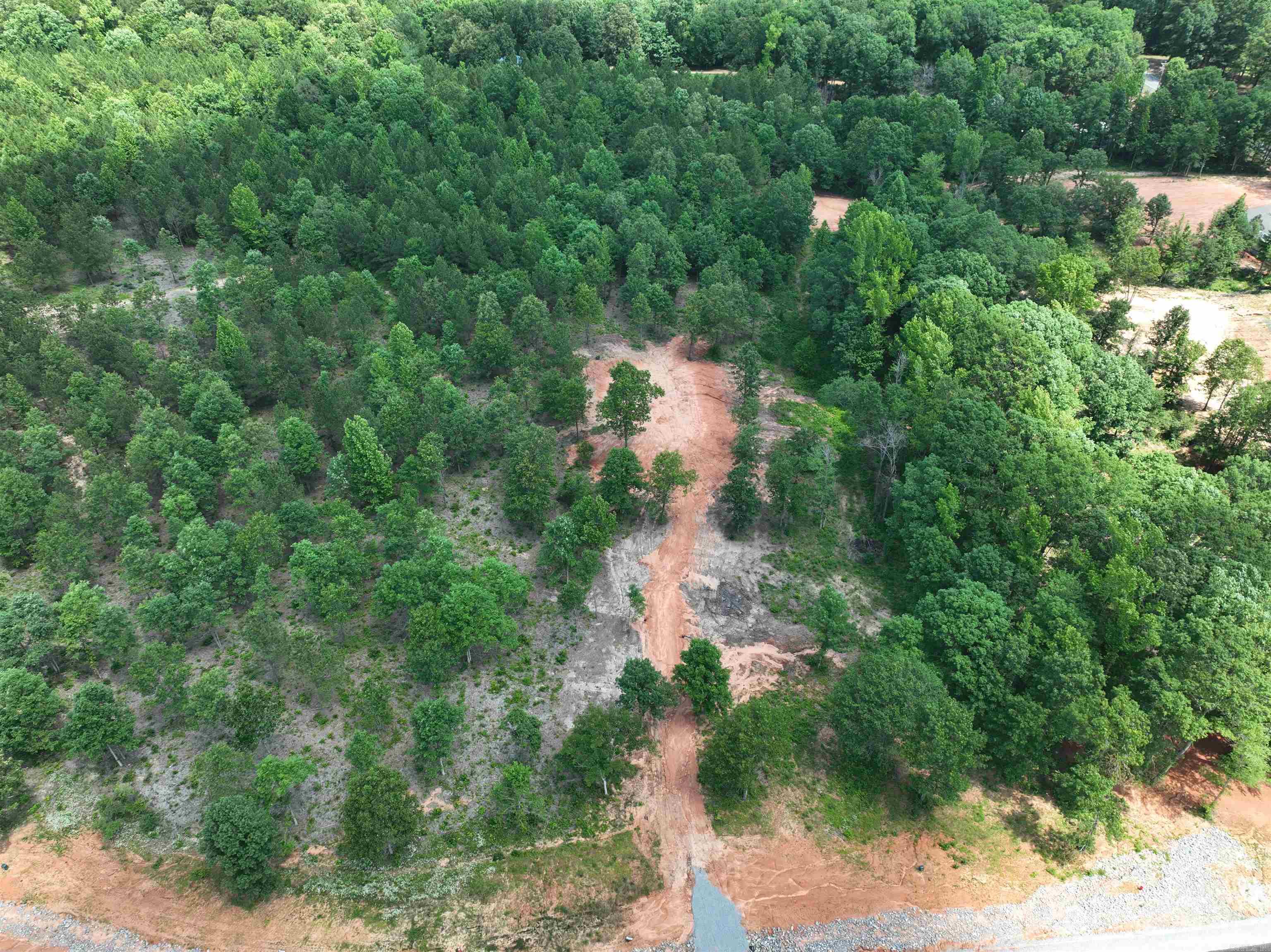 Mountain Pine - Land