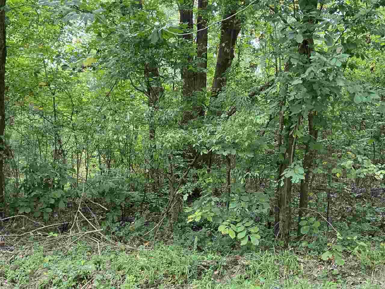 Exceptional investment opportunity!  Several lots for one great price!  Road frontage on Malvern Ave and is conveniently located to the bypass.  Lots can be sold separately.