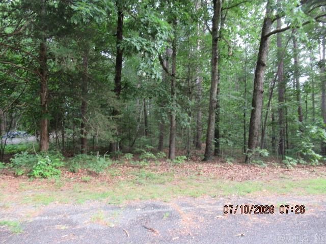 This treed lot is on a street with only a few houses.  It might be the place to build your lake get away!