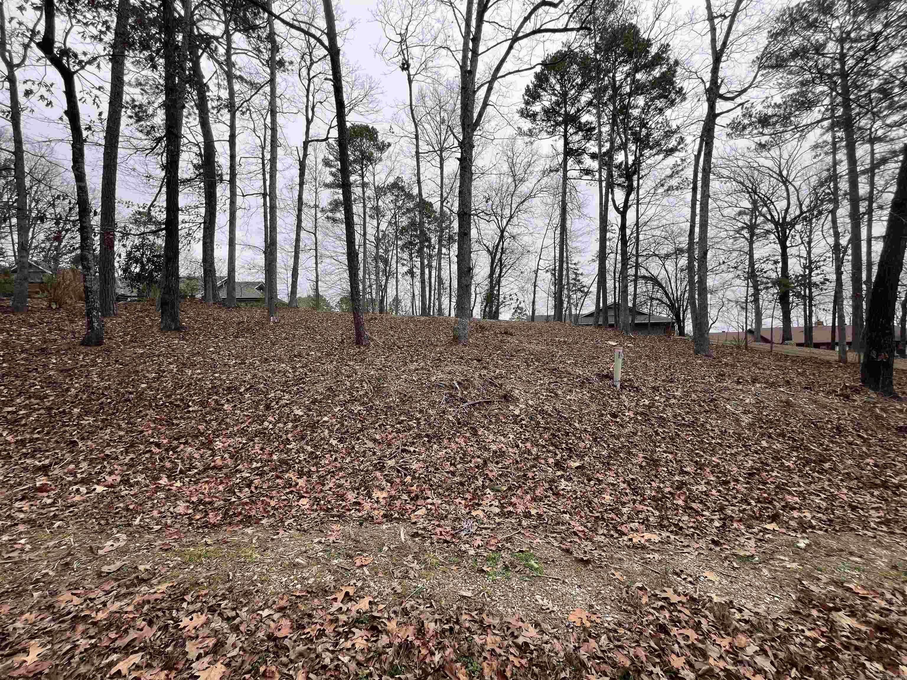 This stunning waterfront lot on Lake Coronado offers just under half an acre of prime lakeside property. Partially cleared and ready for your dream home, it features a sturdy seawall, ensuring shoreline protection and enhancing the picturesque setting. Enjoy breathtaking lake views, direct water access, and the tranquility of this sought-after location. Perfect for those looking to build a lakeside retreat in a serene and scenic environment.  Hot Springs Village is the home to 11 lakes, 9 golf courses and a host of other amenities.