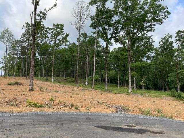 Orchard Hill - Land