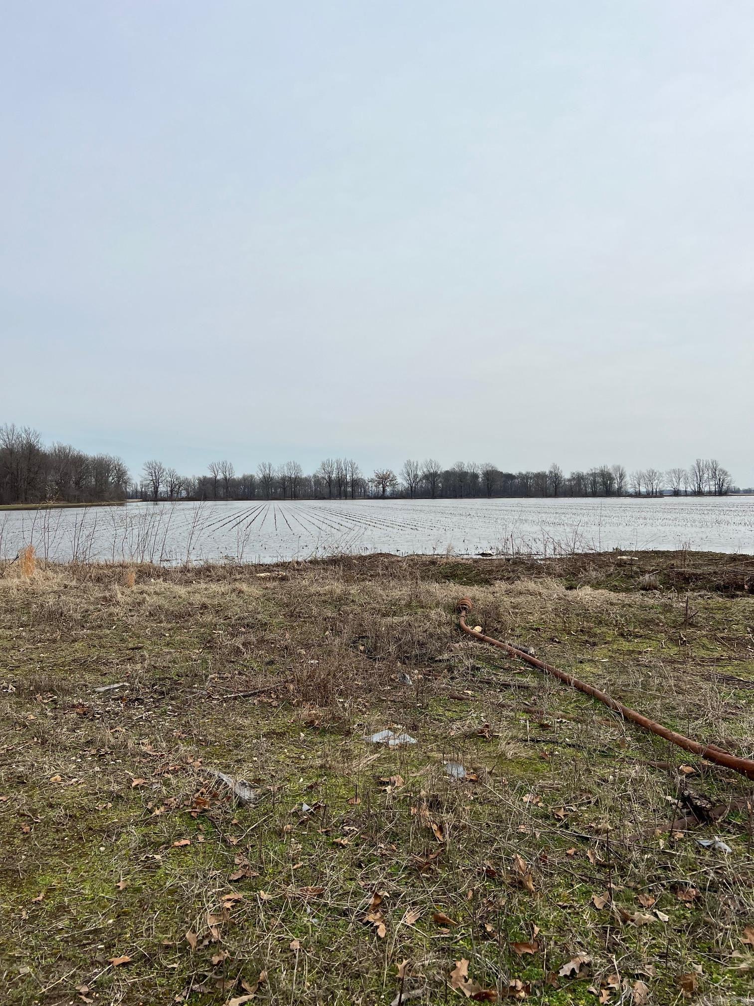 40 acres +/- of level rice ground in Greene County, AR with one irrigation well