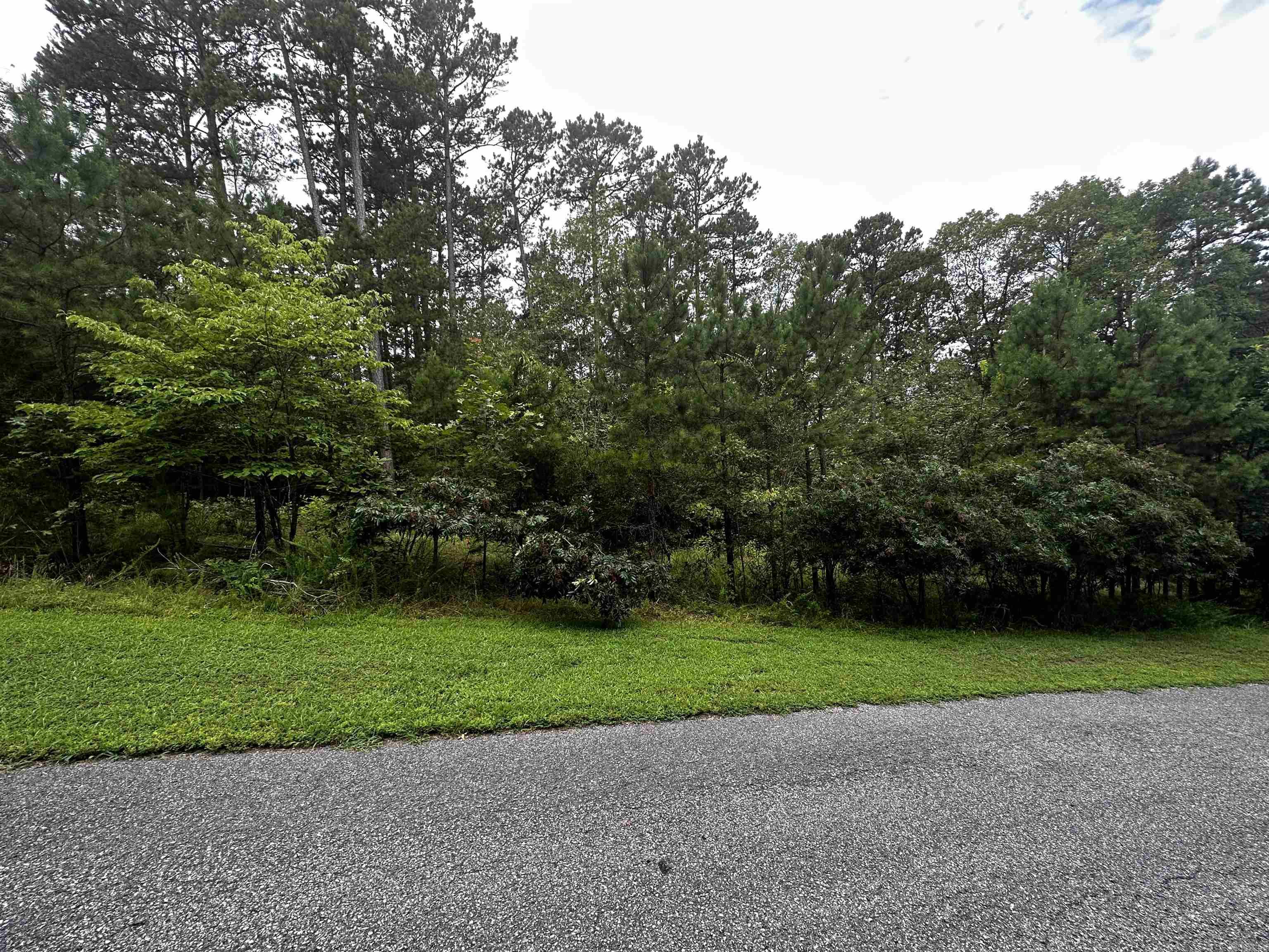 Great Neighborhood to build your dream home at the lake. Undergrounds utilities already in place!  Mineral rights do not convey.