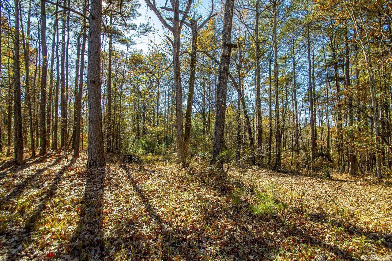 46 acres. 30 acres are in a flood plain with a portion of that in a floodway.