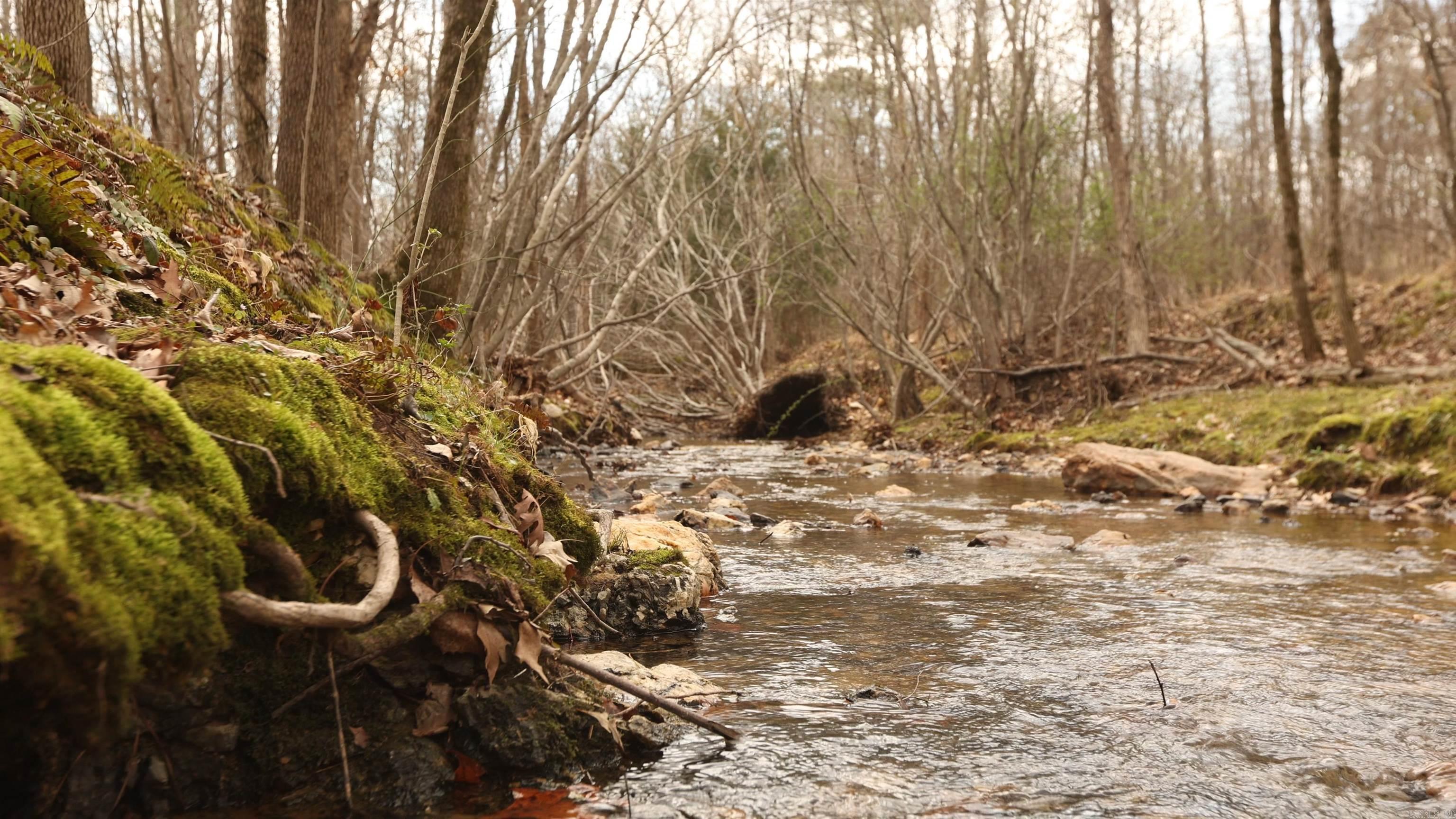 The Preserve - Land
