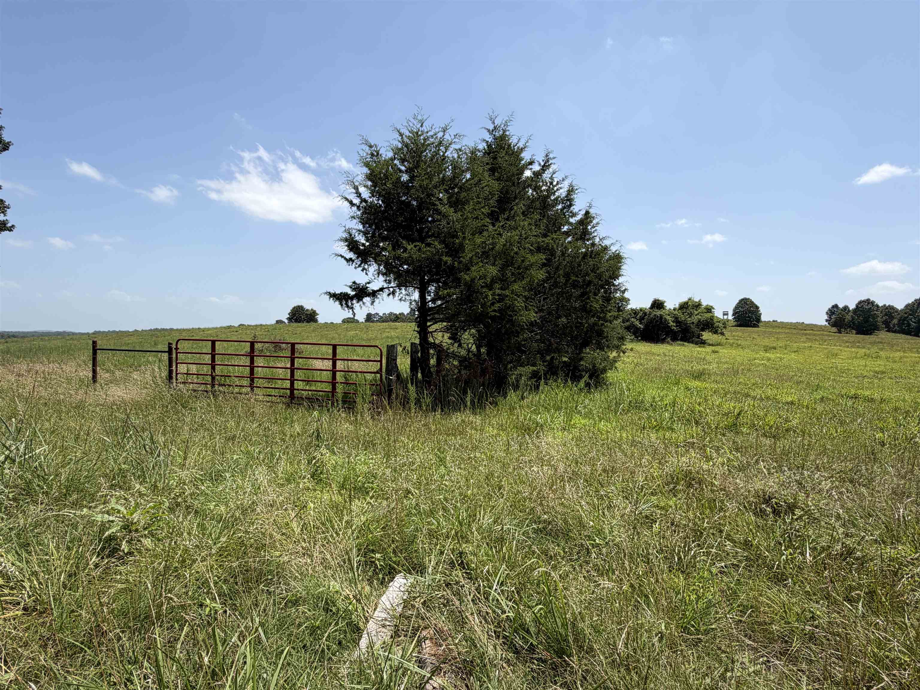 Metes & Bounds - Farm