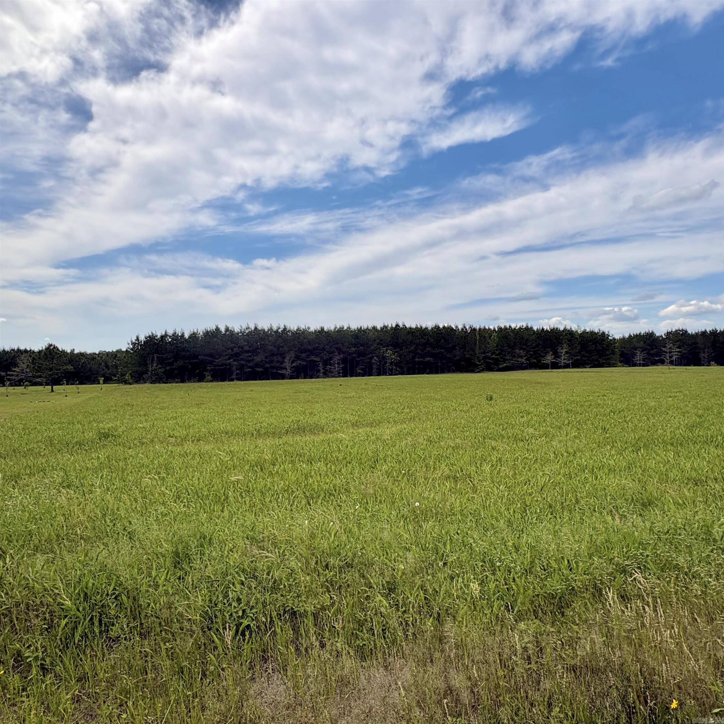 3.50 acres cleaned up and ready to build on...perc test & survey on file. There is public water & electricity available(buyer to verify)...on a paved road.  Conveniently located just off the bypass