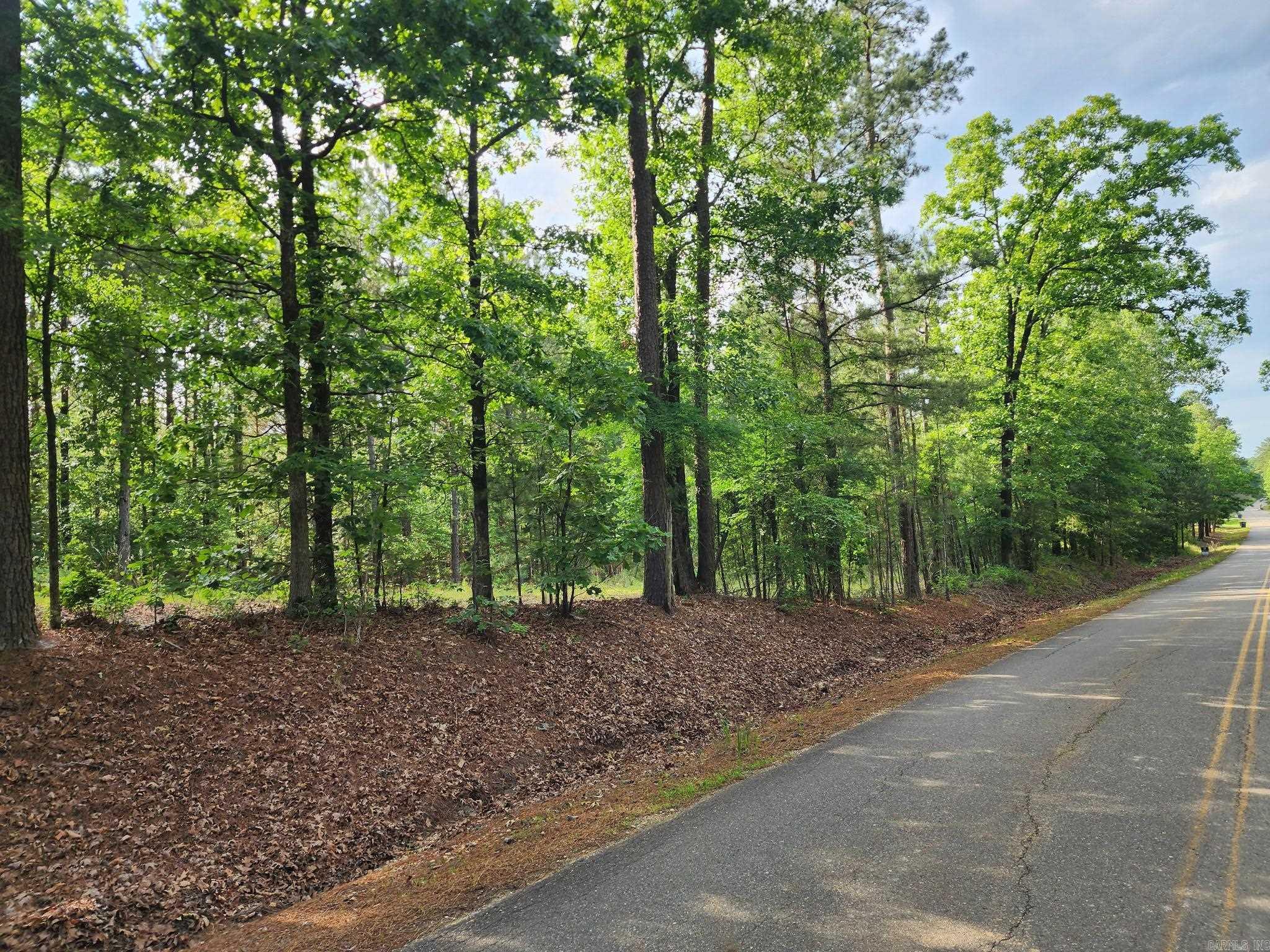 This is a 10 acre wooded tract located off of Southfield Rd. There is no frontage or utilities currently on this tract. Seller will provide an easement for access. Please note- photo shows a different parcel located between this 10 acre tract and Southfield Rd.
