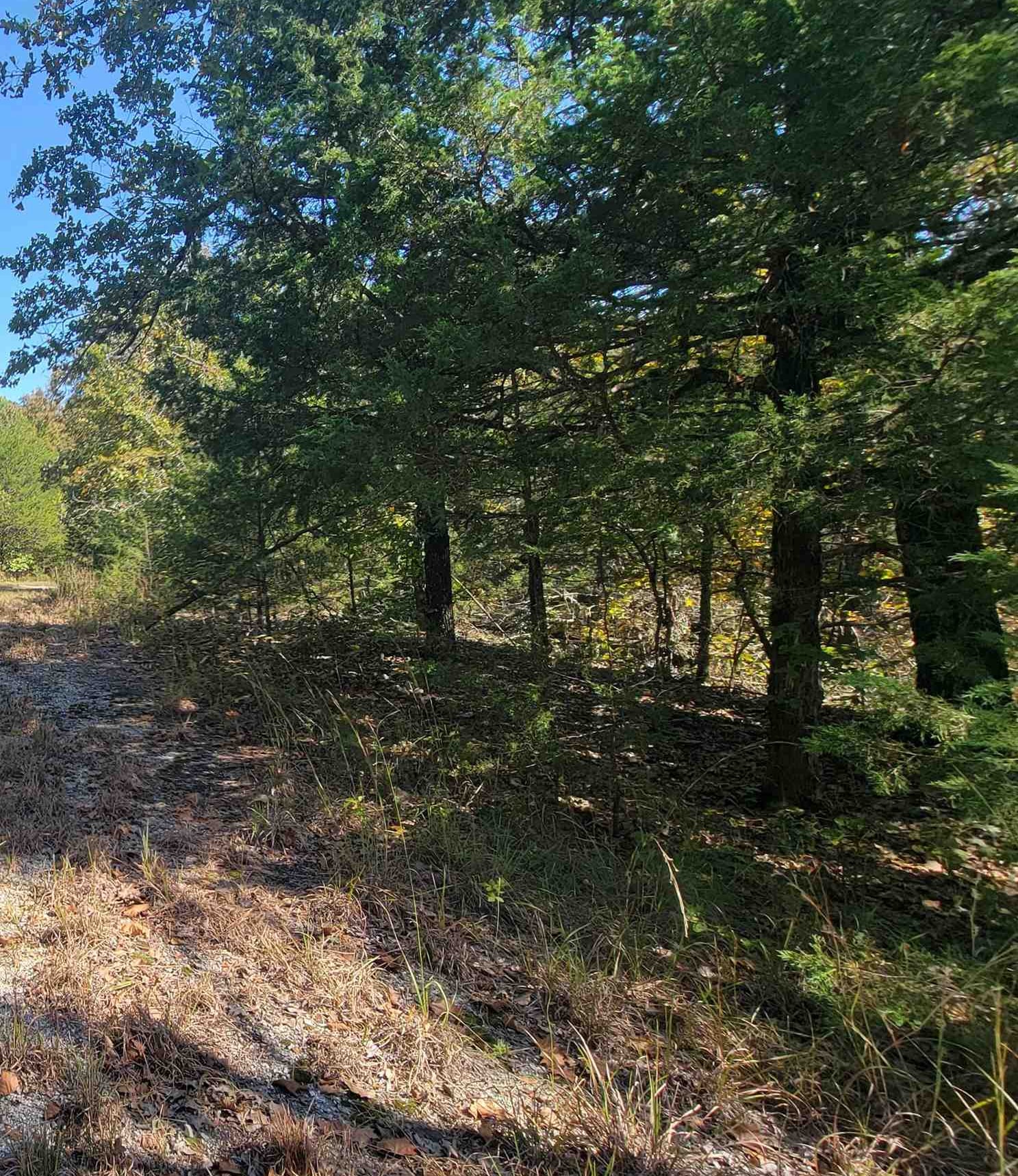 Vacant lot near Lake Mirandy.