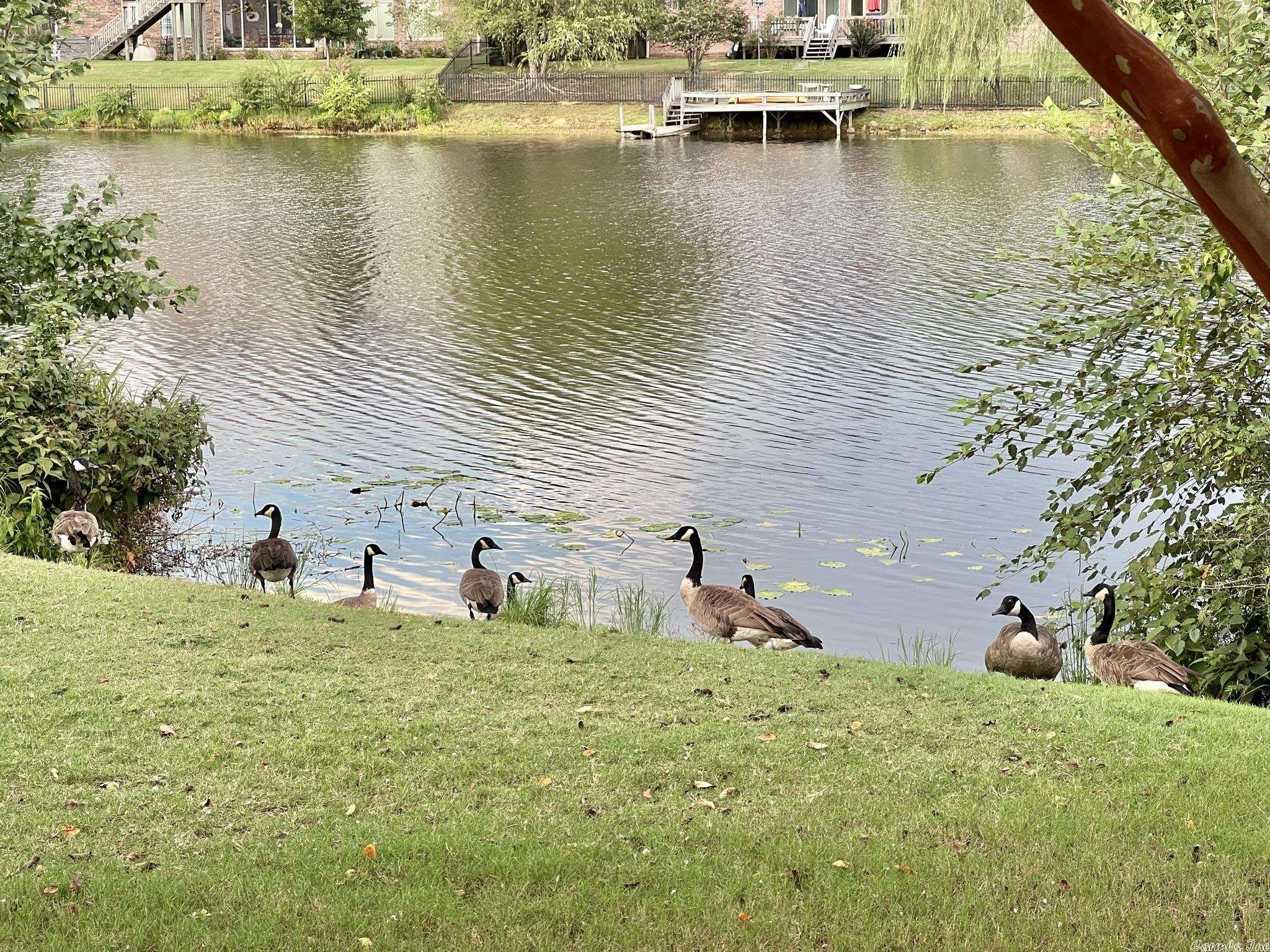 North Lake - Residential