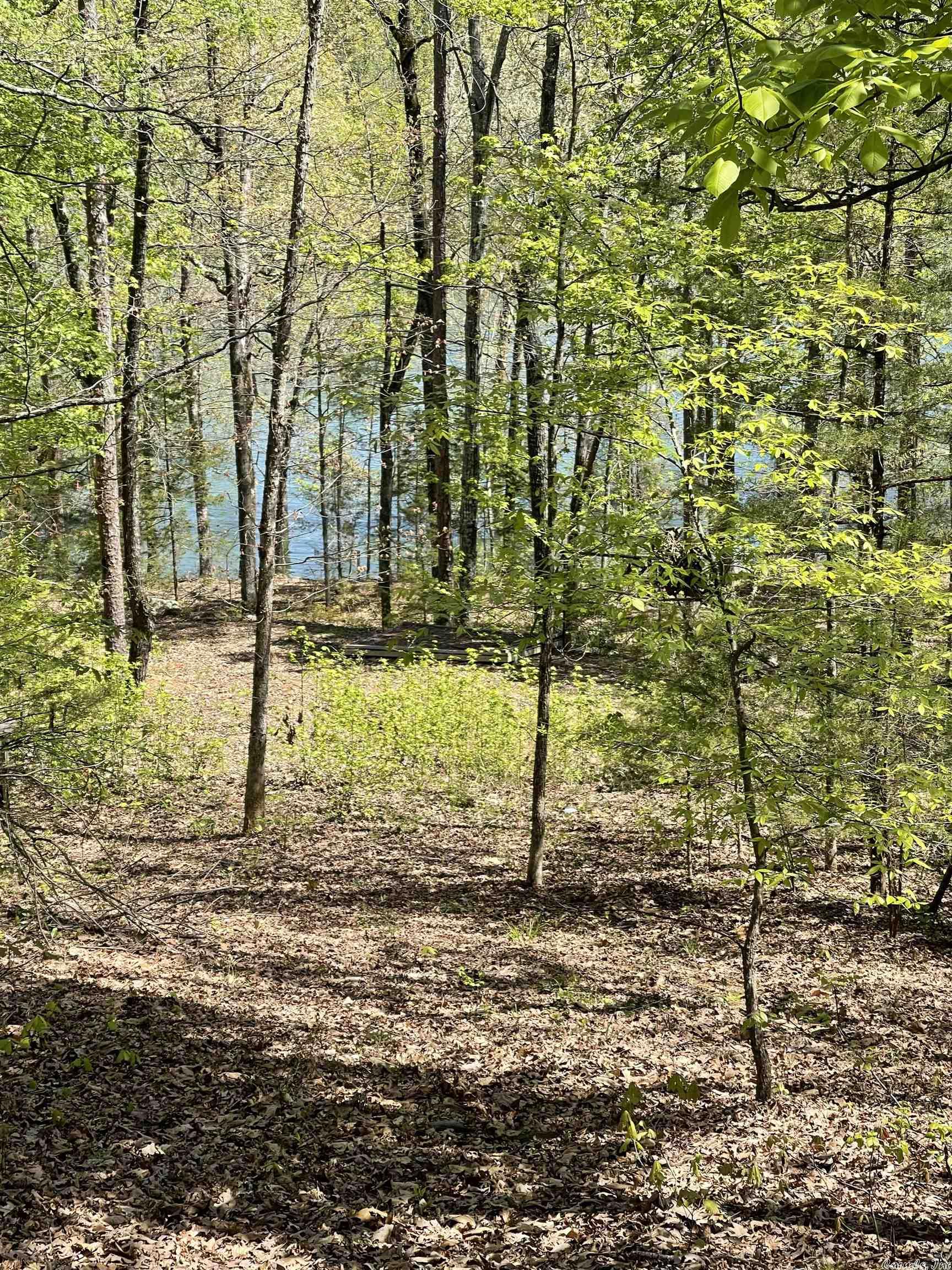 Ridgeview Place Cove Creek - Land