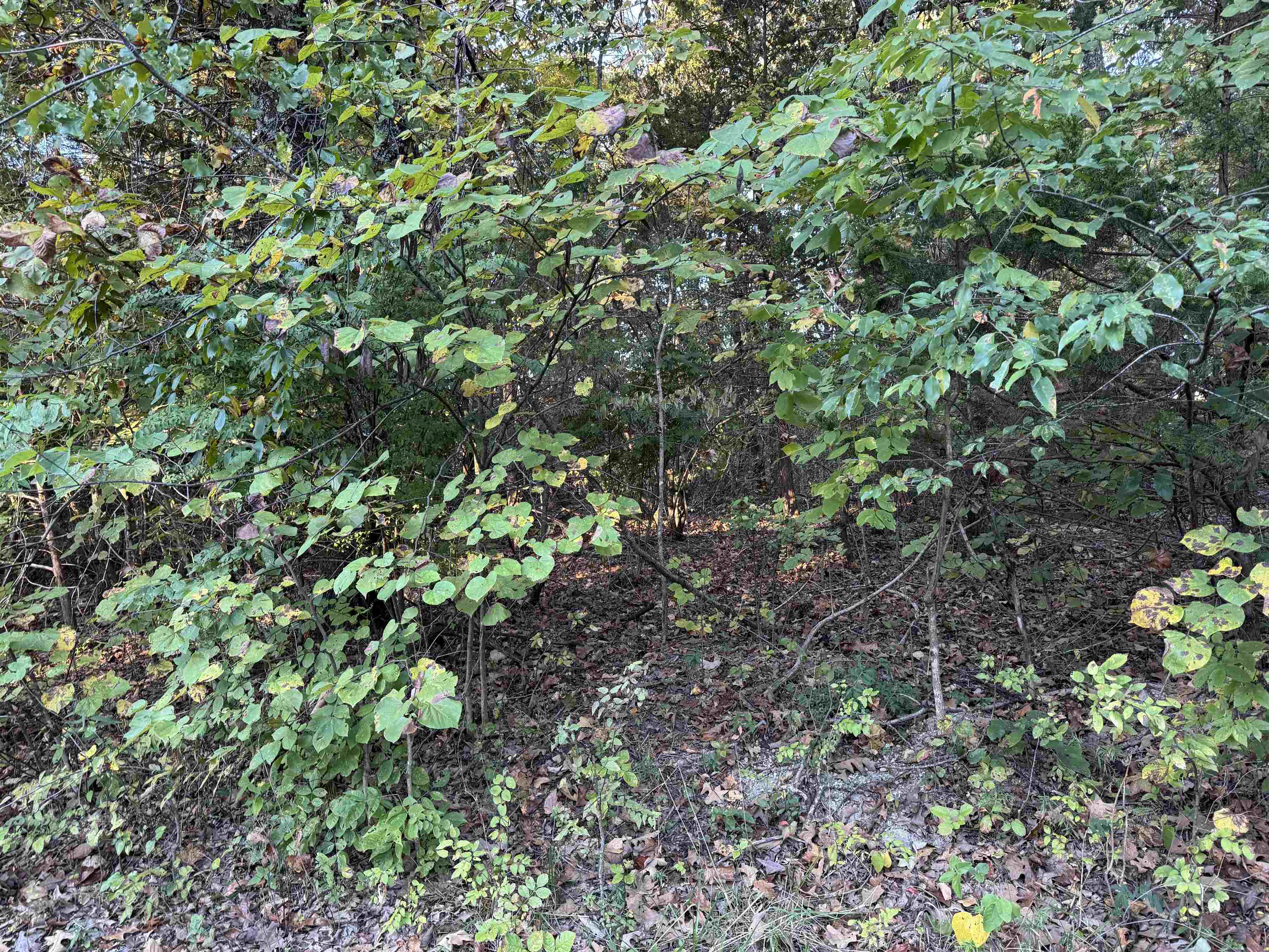 Three lots that are being sold together. Two of the lots are side by side, and two are corner lots. The address of the third lot is 1109 Parkway Lane. All lots have a limited warranty deed. There is a yearly fee of $80.00 per lot for Parks and Recreation for the upkeep of amenities.