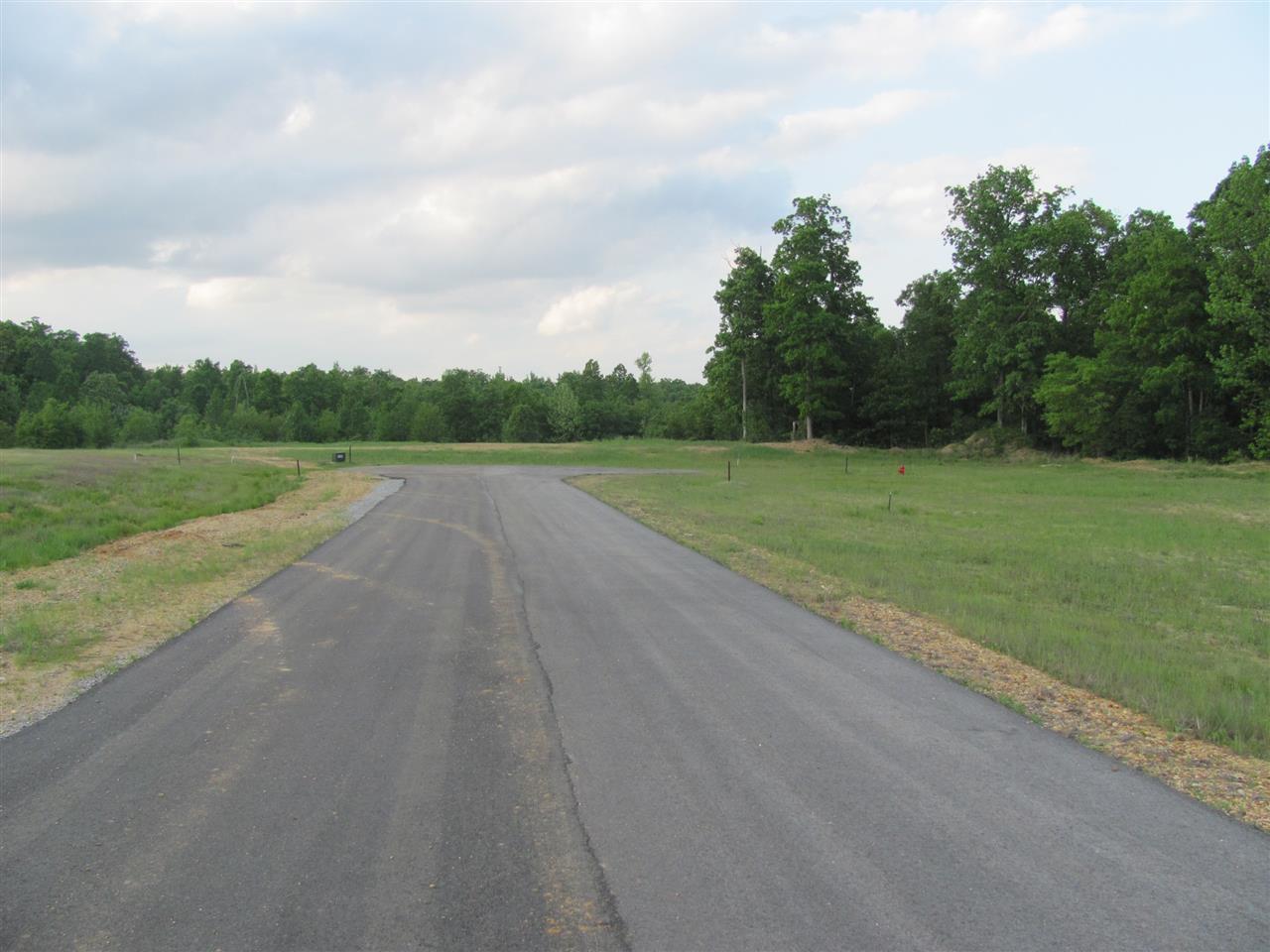 This is one of only 7 lots left in the New Salem Ridge Phase II subdivision which has been designed to offer privacy on large lots for each owner with mature White Oaks in the front and back on several of the tracts. The lots were  hand pick to offer level building sites on each lot for ease of New Construction. This will allow the owners opportunities to build new single level homes with no need for steps or stairs in the home if not wanted. Salem Ridge Phase II is on the back of the properties with no thr