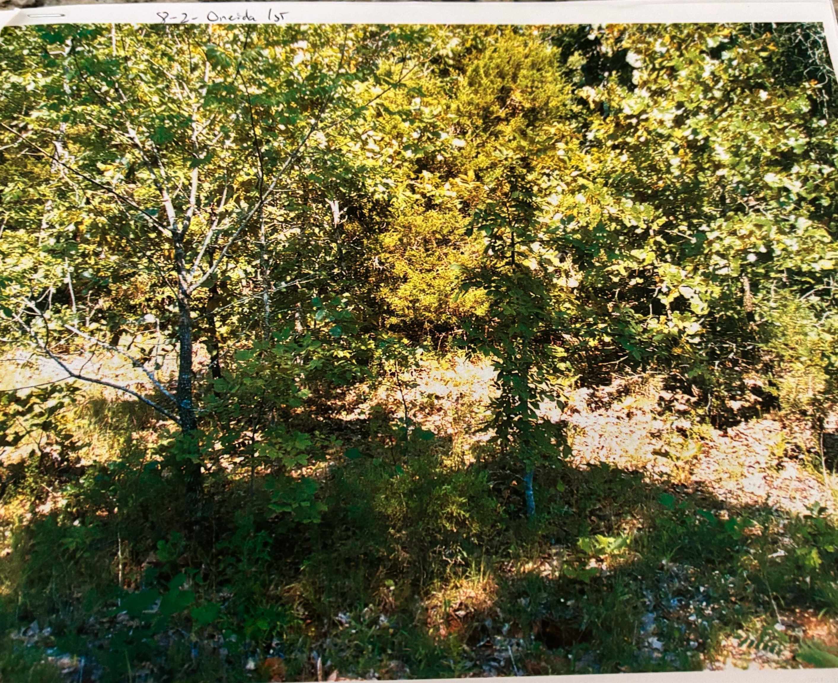 Oneida 1st - Land