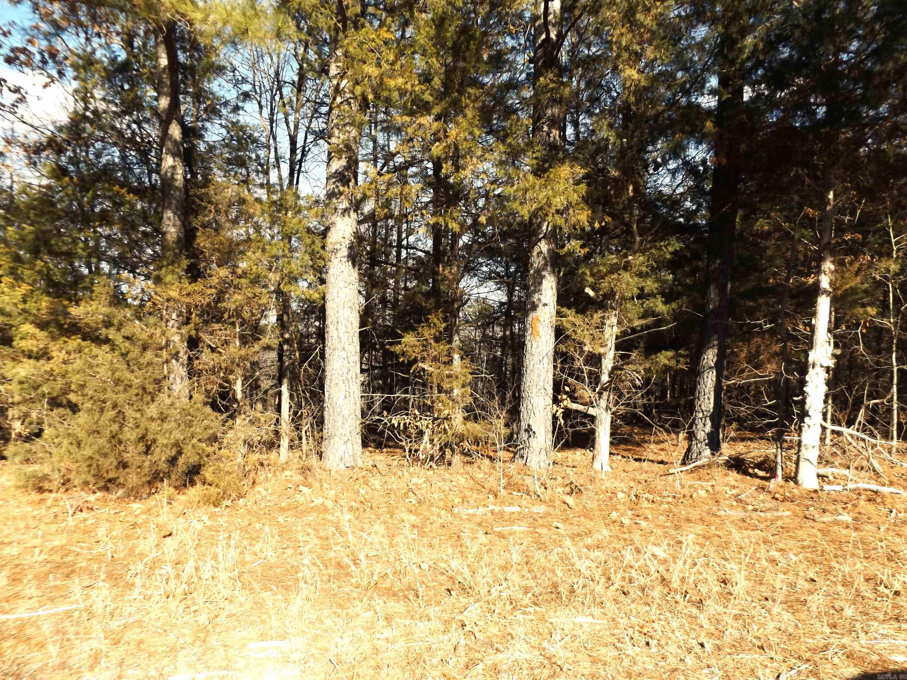 Choctaw First - Land