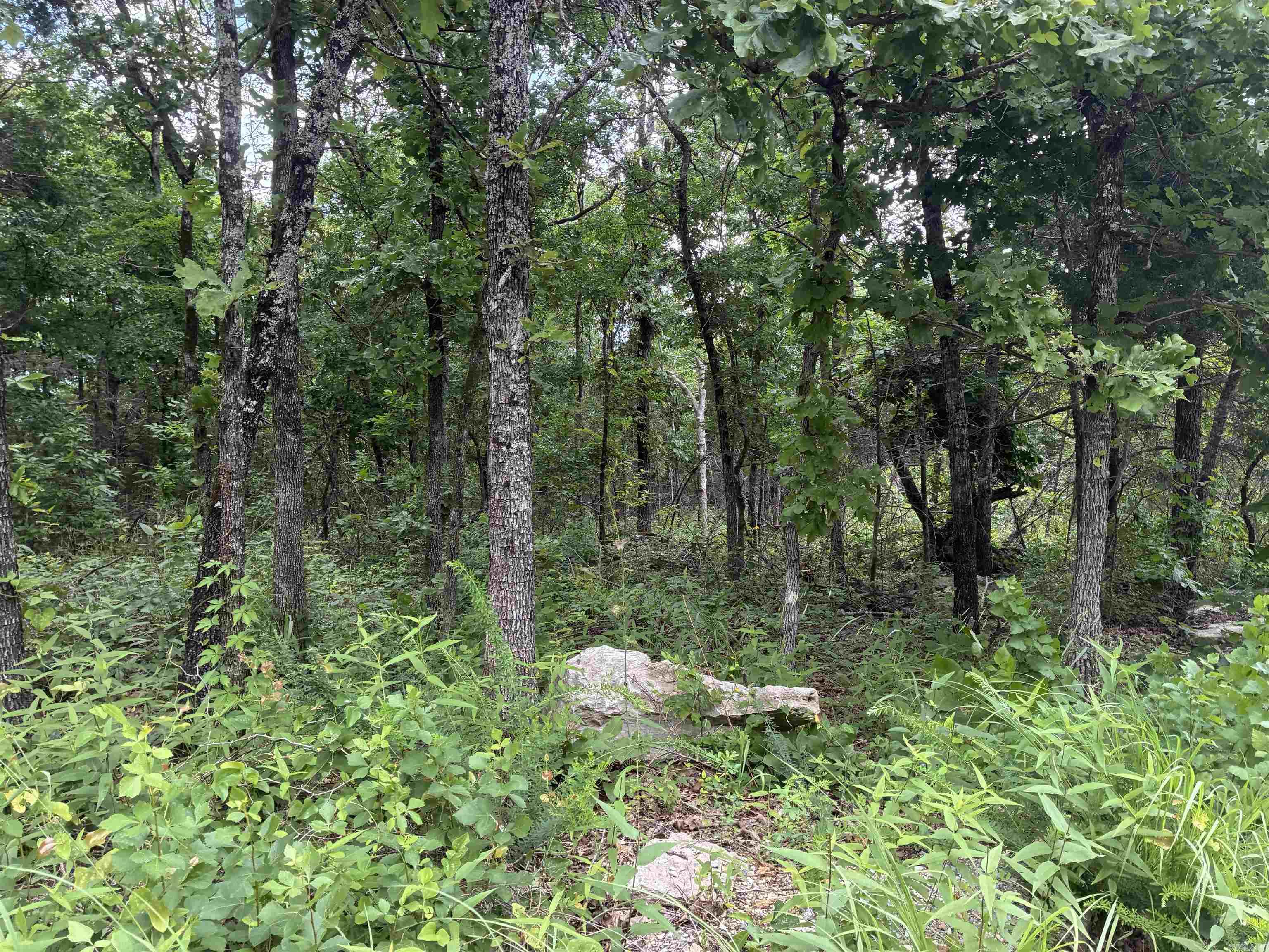 Not in Subdivision - Land