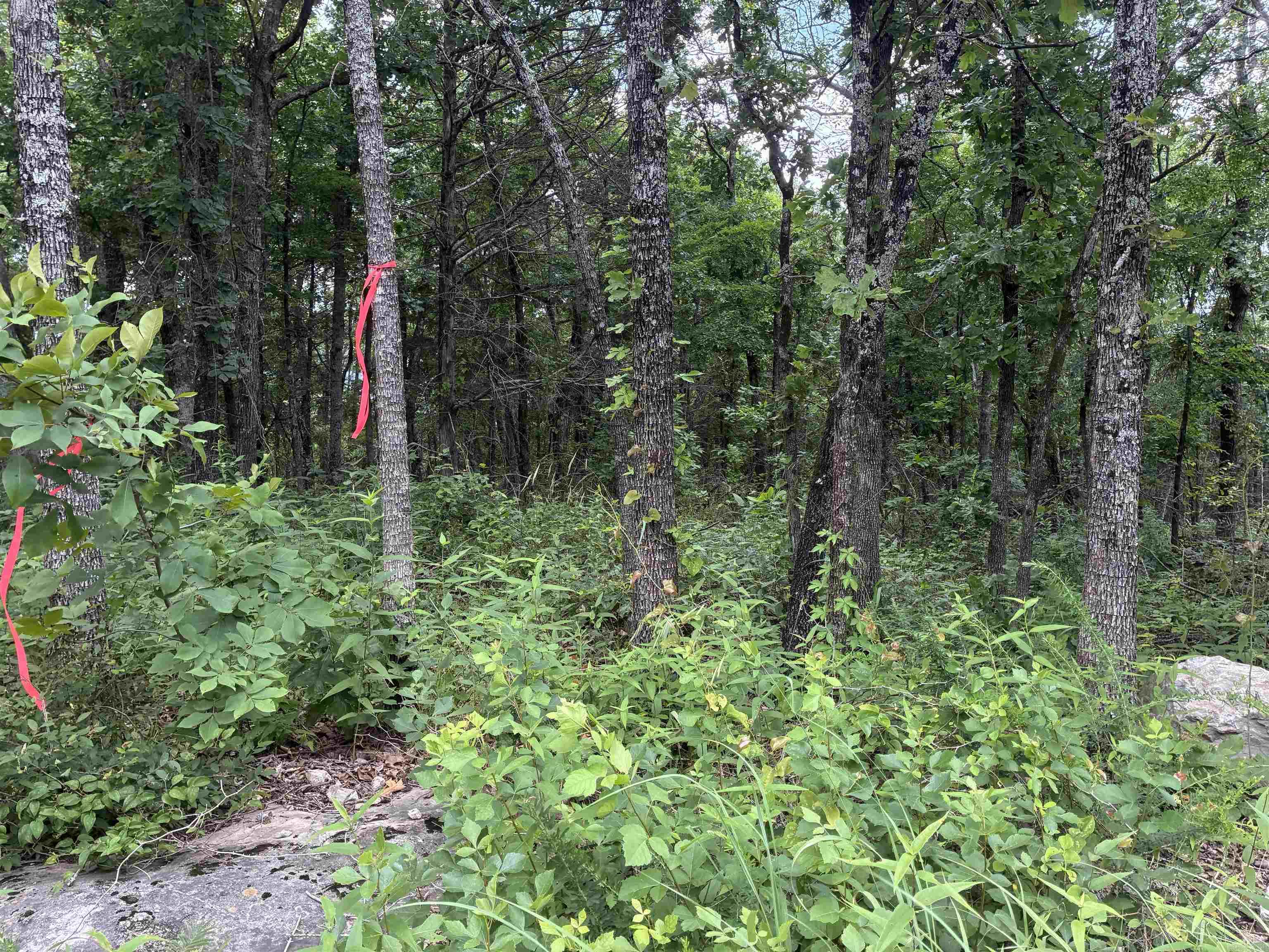 Not in Subdivision - Land