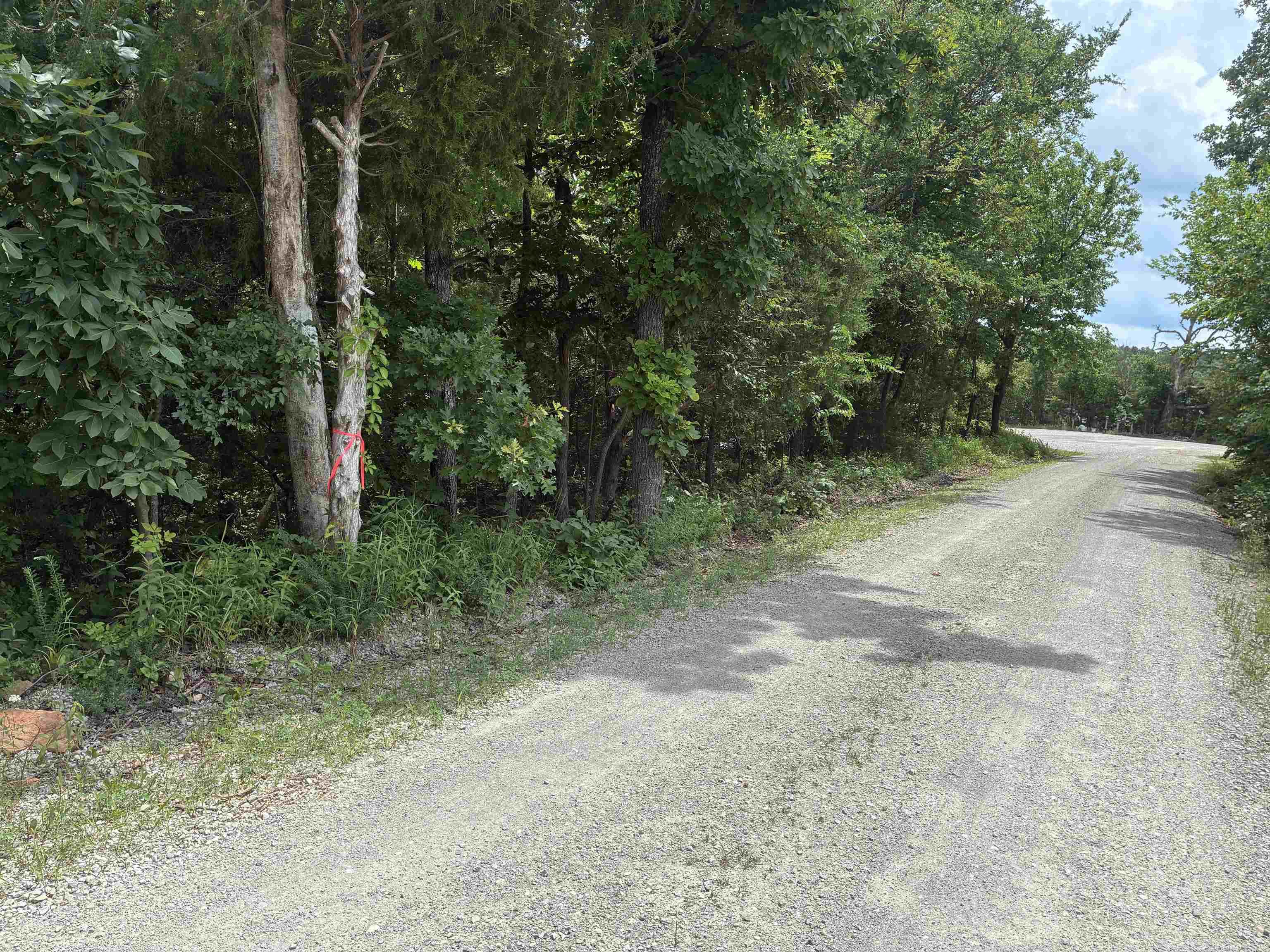 34 Unrestricted wooded acres. Perfect hunting land or build your dream home. Electric and internet available at this country setting with big views and a cave/mine. Over 1400 ft of county road frontage to pick the perfect spot to put in a driveway. Build near the county road not far off paved access or pick a spot higher in the mountains to take advantage of the vista views. Only minutes to the crooked creek for fishing floating and swimming.