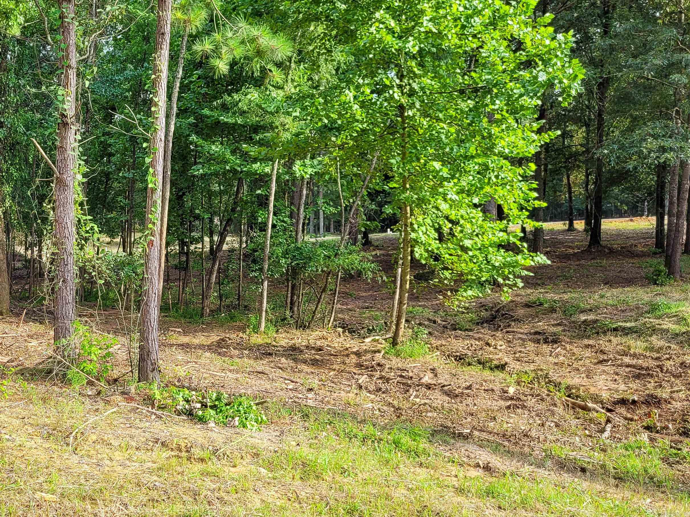 Coulter Estates - Land