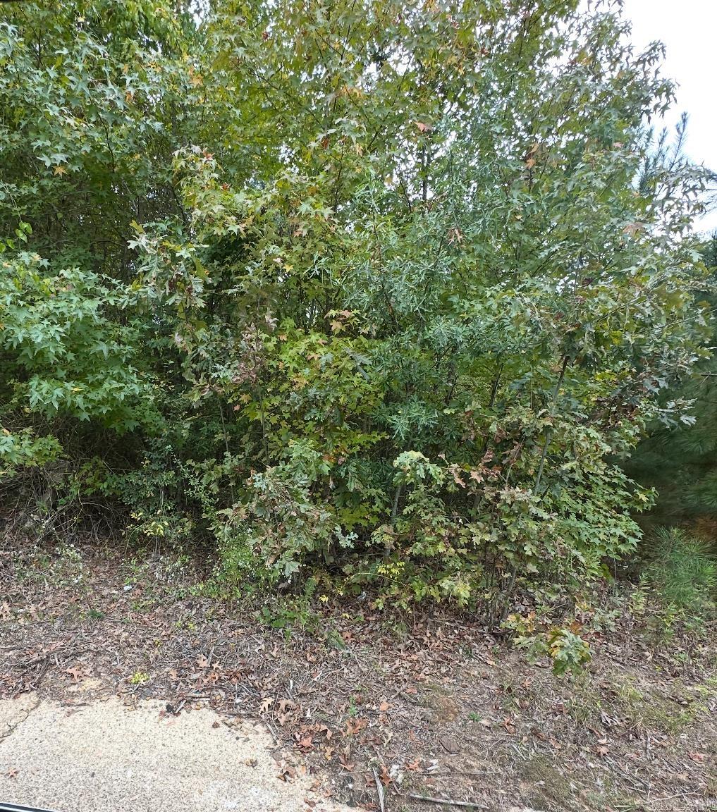 Great opportunity to own a small lot right in the city! Conveniently located on a paved road, this property offers easy access to local amenities, schools, and shopping. It’s the perfect spot for a new build, investment property, or a simple in-town retreat.