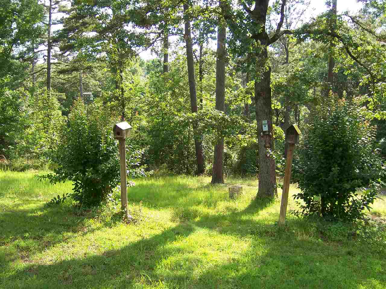 Pine Village - Residential