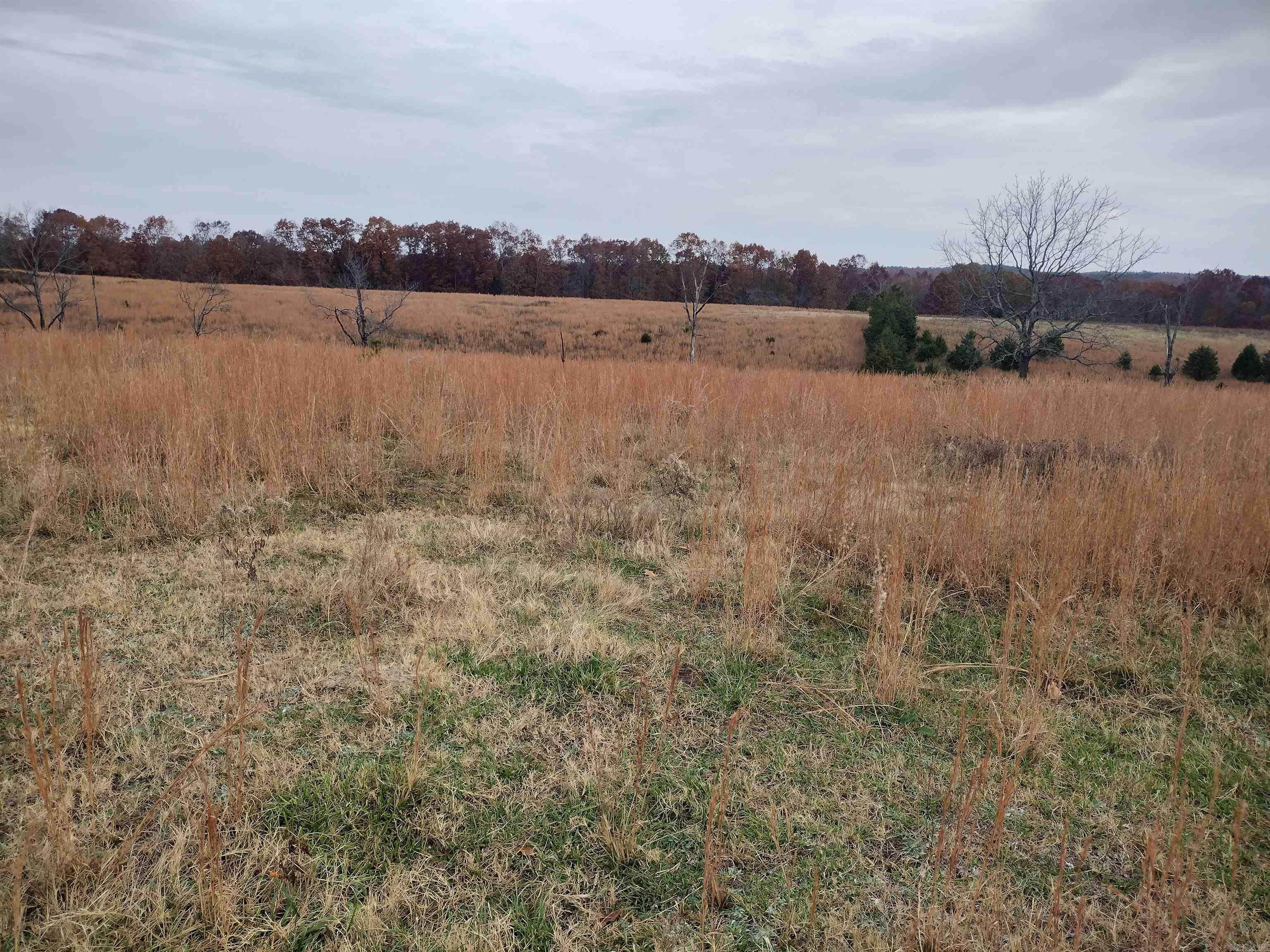 Metes & Bounds - Farm
