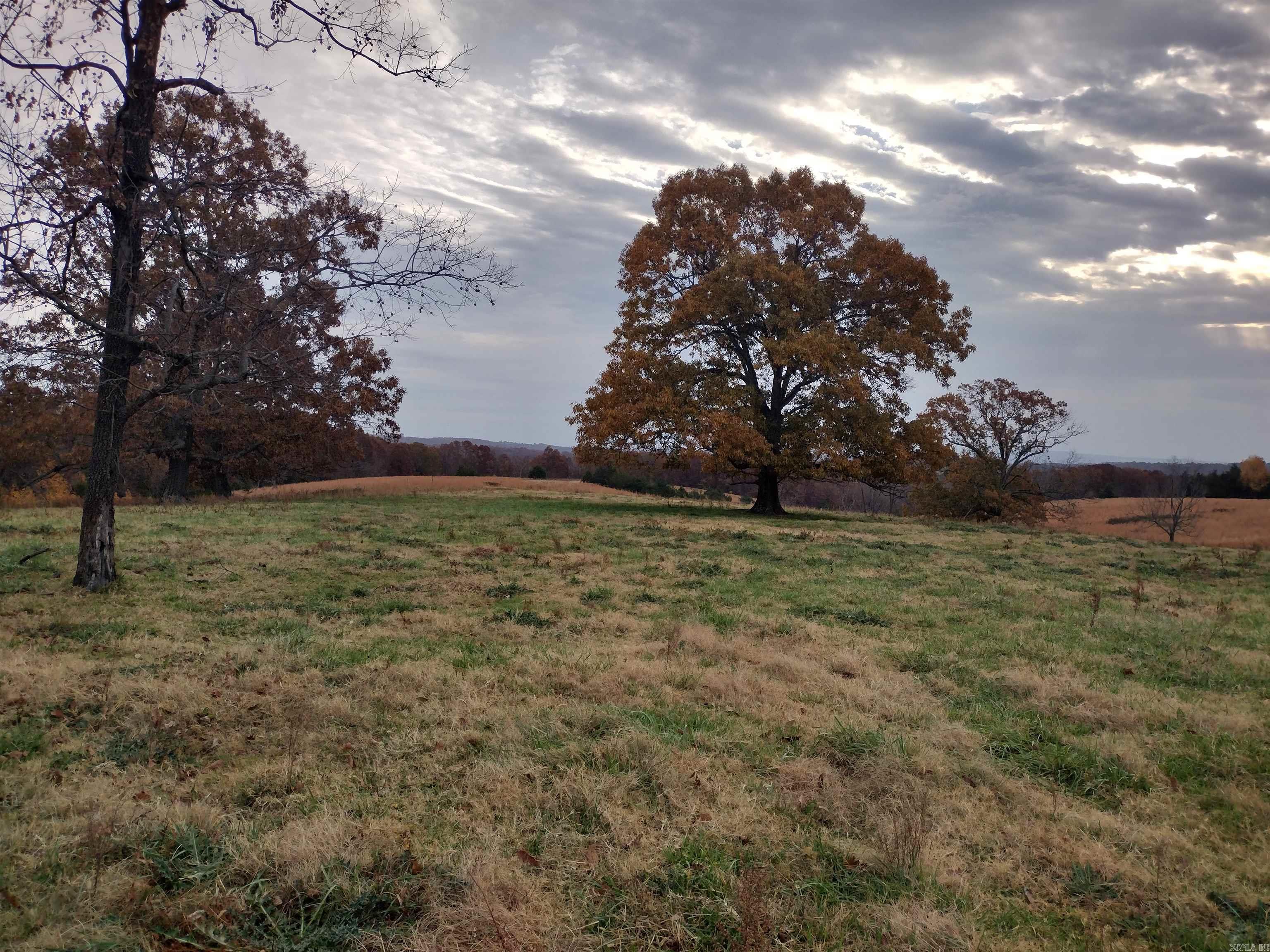 Great Hunting or Farming land very quiet place with rolling pasture has 2 ponds has more pasture than woods Moutain views from pasture. Has Ingress and Egress easement lots of opportunities with this great property.