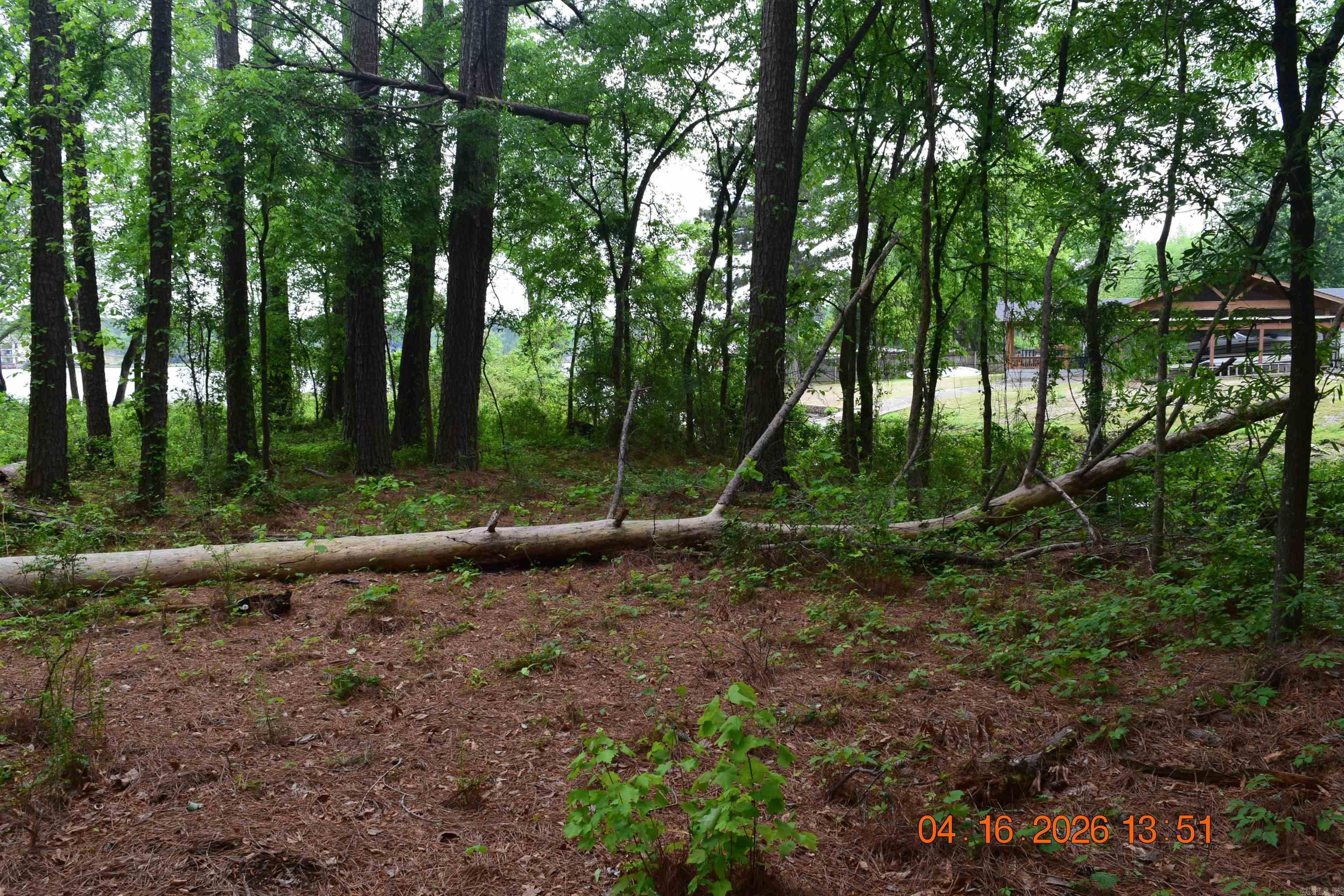 Wilson Lois K Estates - Land
