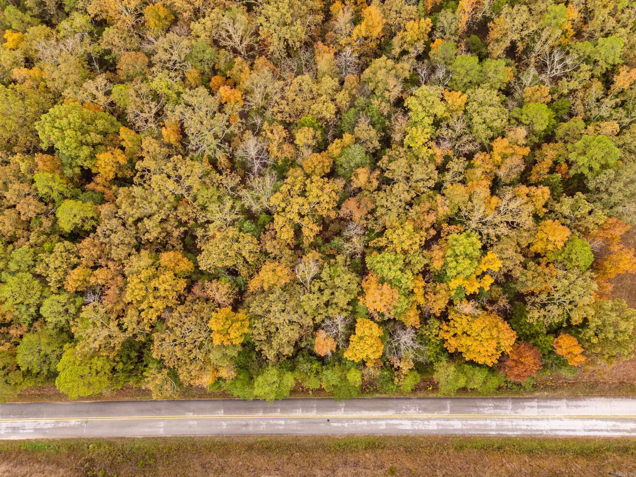 Norfork - Land