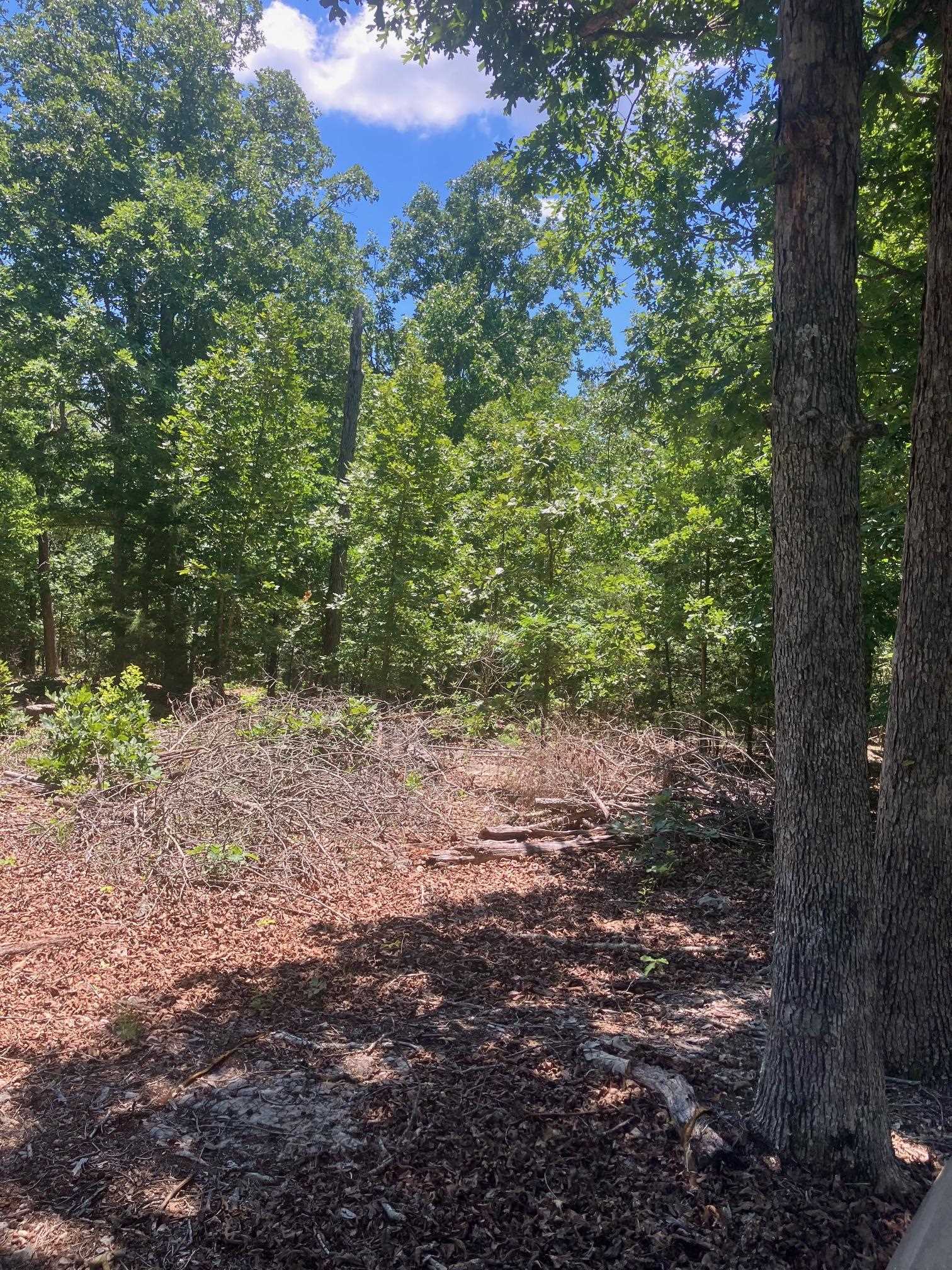 Looking for the ultimate weekend getaway or the perfect spot to build your dream cabin? This private, 3.4-acre (m/l) off-grid property offers the peace and quiet you’ve been searching for. With convenient access to water already in place, it’s entirely ready for your custom cabin build or for parking your camper/RV.  Located just a short drive from the vibrant waters of the Spring River and Southfork River, this tract is an absolute haven for outdoor enthusiasts. Whether you are looking to hunt, fish, kayak, or simply unplug and relax in total privacy, this property delivers. Don't miss your chance to own a slice of Arkansas serenity!