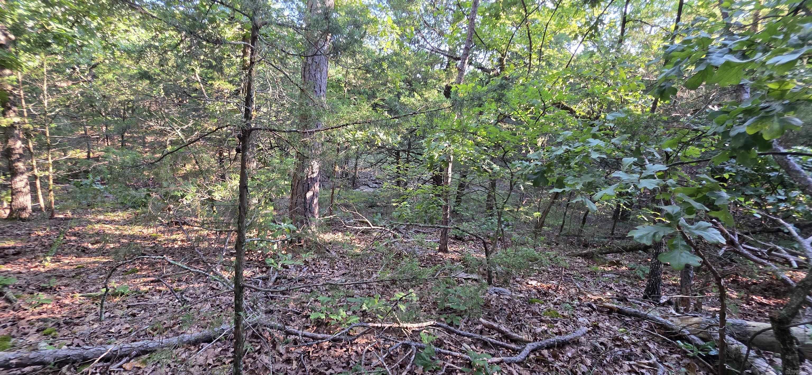 Booneville - Land