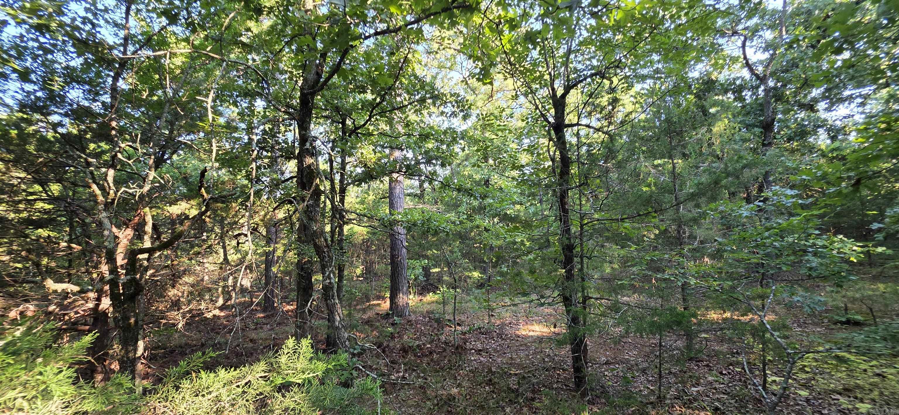 Booneville - Land