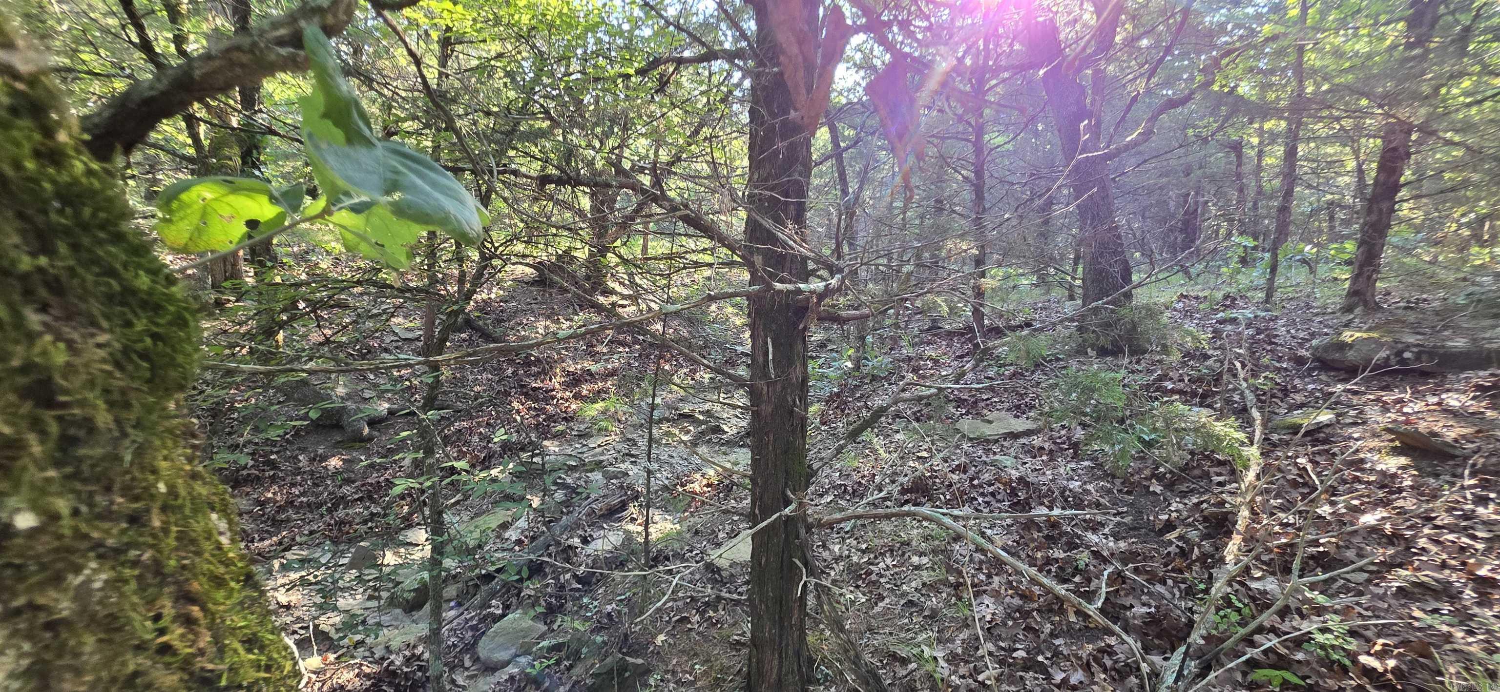 Booneville - Land