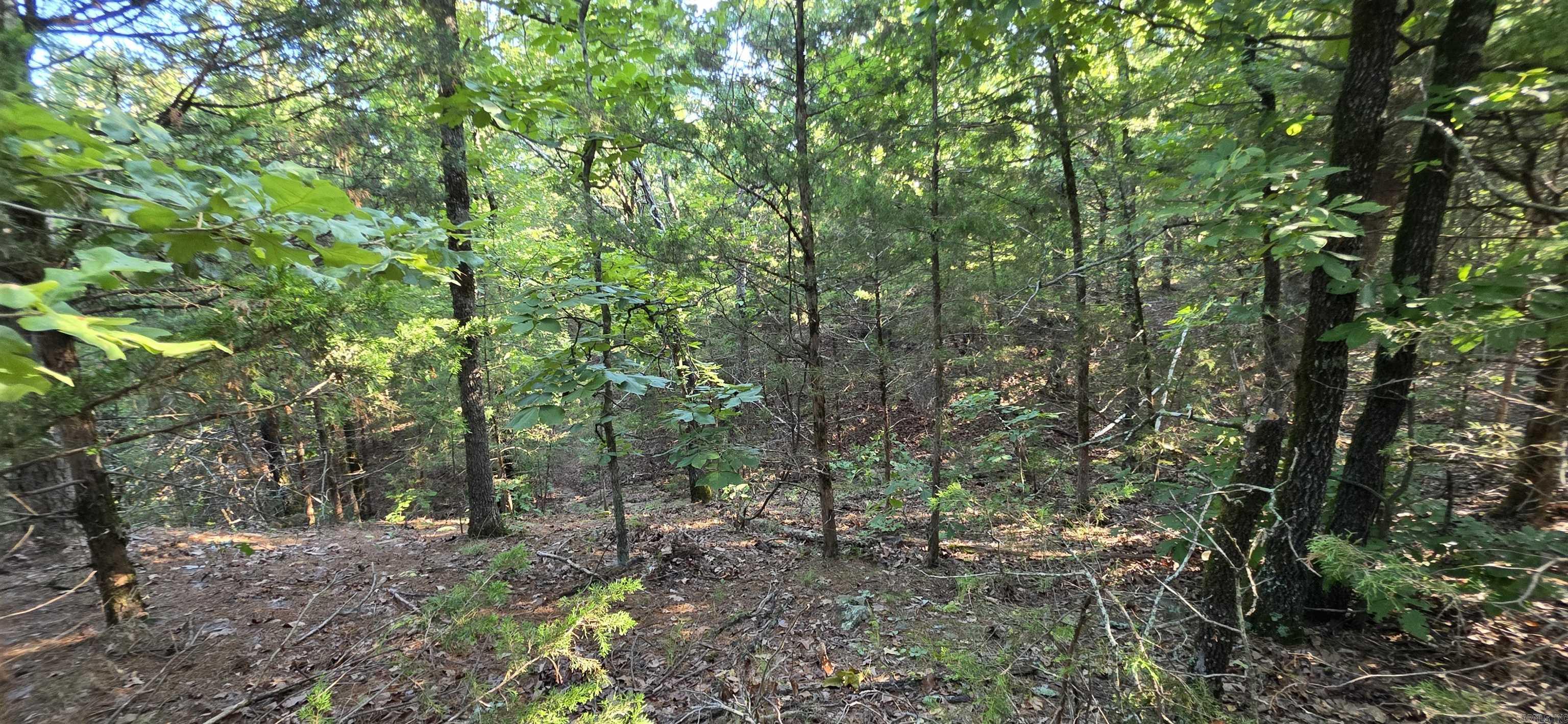 Booneville - Land