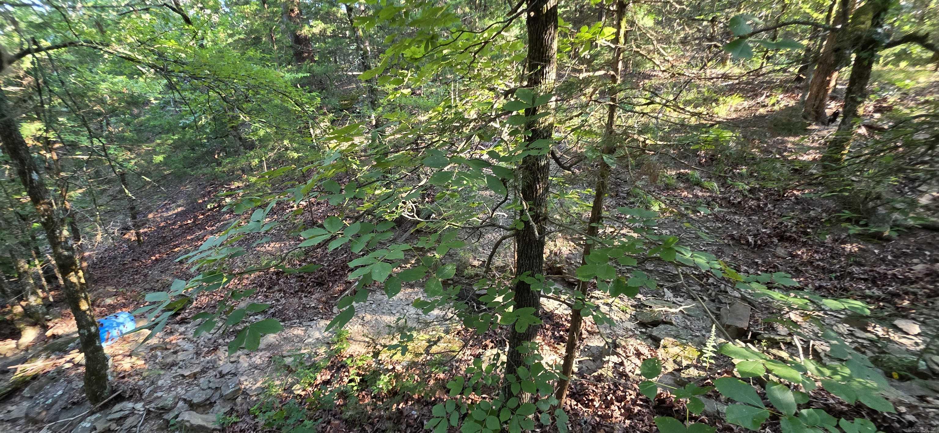 Booneville - Land