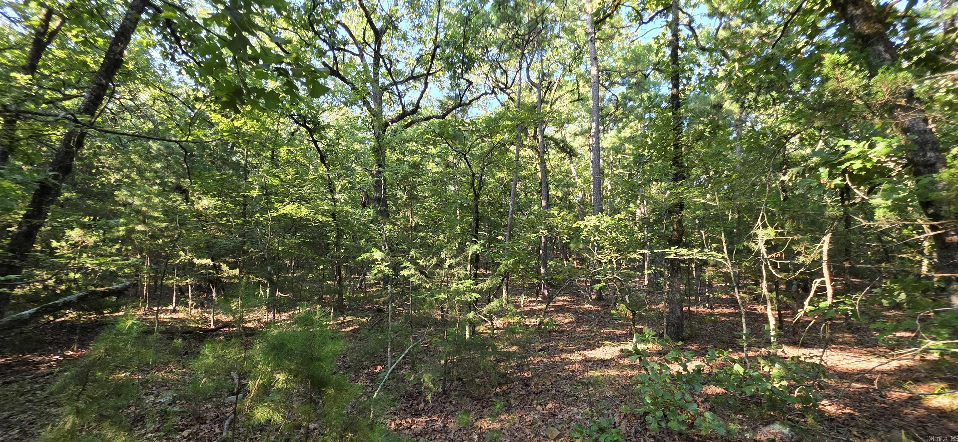 Booneville - Land