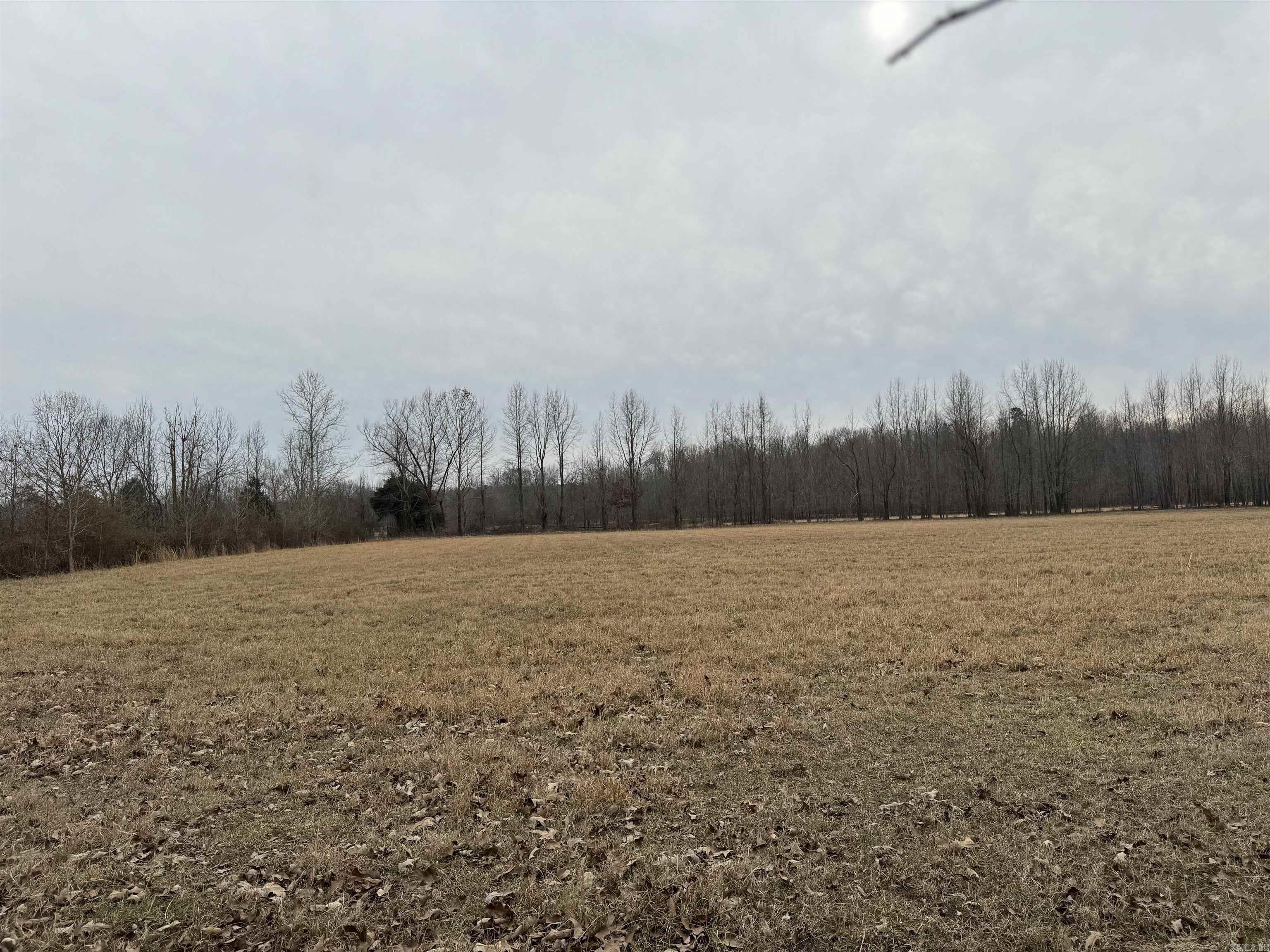 West Side tract a uct, East Side tract A available $112,500   Perfect location to build your dream home with +/- 20 acres on Greene 611 Road. Enjoy the peace and scenery of country living watching deer, riding your side by side or relaxing in the creek. Don't miss out on this beautiful land with endless possibilities.  See agent remarks