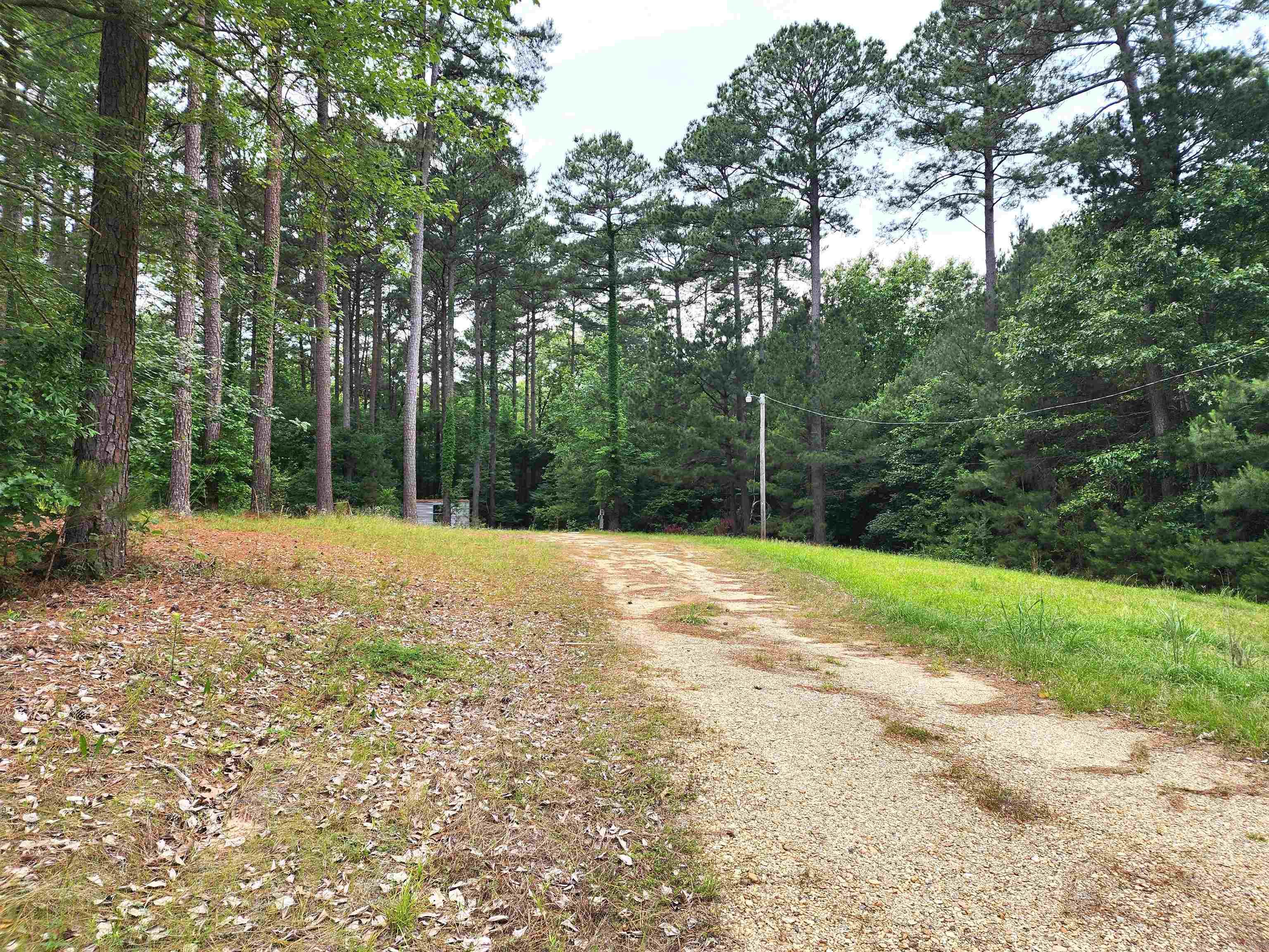 Looking for the perfect land in Parkers Chapel school district to build your dream home? This listing comprises 30 acres of land with mature timber and frontage on Southfield Rd. There is a 20 acre tract with a driveway and utilities including a septic system installed in 2004 for a mobile home which was previously located the property. There is also a large deer stand that will remain for the buyer on this tract. There is an additional detached parcel comprising 10 acres nearby that is included in this listing. Seller will not subdivide and does not have mineral rights to convey. Please reference the following 3 parcels: 00000-20240-0010, 00000-20240-0000, and 00000-20238-0300.