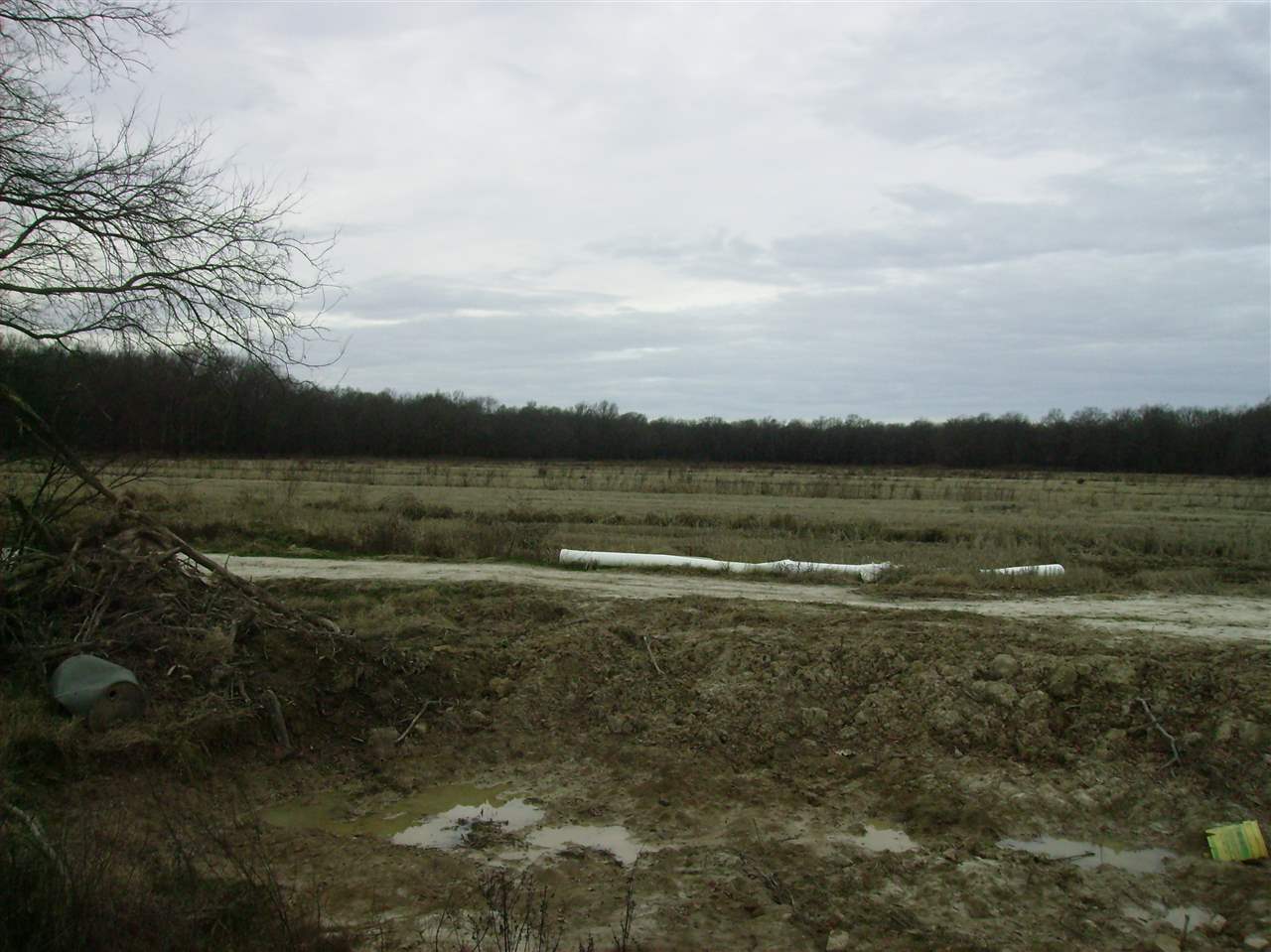 25-4S-2E - Land