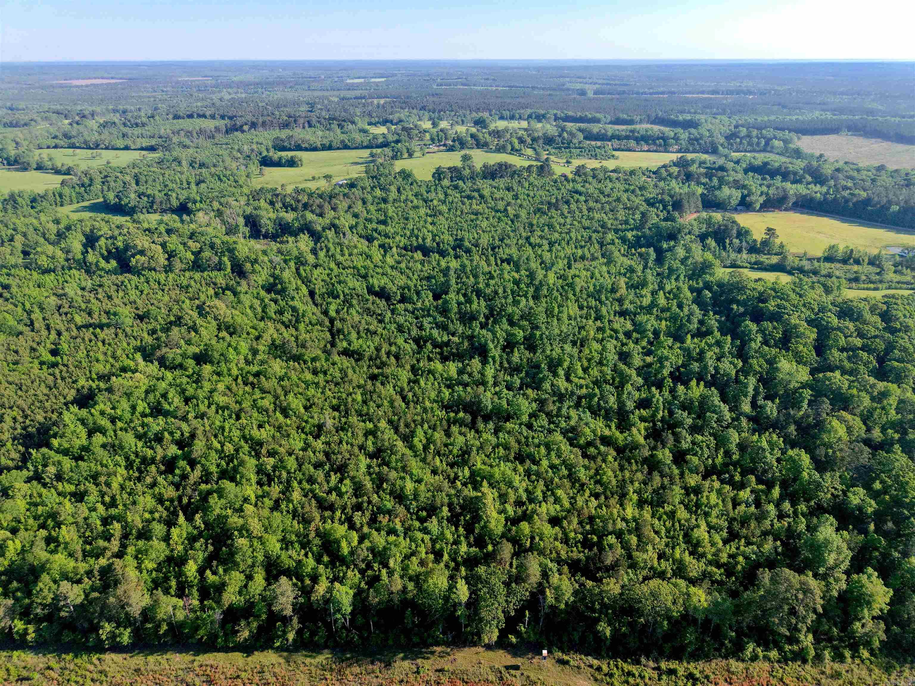 Located in southwest Arkansas, this 92+/- acre tract in Nevada County offers a great combination of recreational opportunity, future homesite potential, and long-term investment value. With road frontage along both Highway 32 and Nevada County Road 107, the property provides excellent access and multiple points of entry.  Property Highlights: - 92.16+/- acre - Multiple home sites with minimal work - Road frontage - Deer and small game - Mineral rights convey - Electric, water & fiber  The land was clear-cut in 2013 and has since experienced strong natural regrowth, creating habitat for wildlife while offering future timber potential. A small creek winds through the center of the property, adding both character and a good source of water for game. Across the highway sits approximately 7.5+/- acres featuring an old home place with existing utilities nearby. With minimal work, this area could make an excellent rural homesite. One of the most unique and valuable features is that the mineral rights will convey with the sale — a rarity in this part of the state due to the location of being in the Smackover Formation with multiple oil wells nearby and a lithium possibilities.